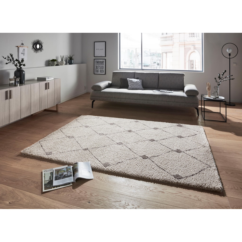 HANSE Home Hochflor-Teppich »Create«, rechteckig