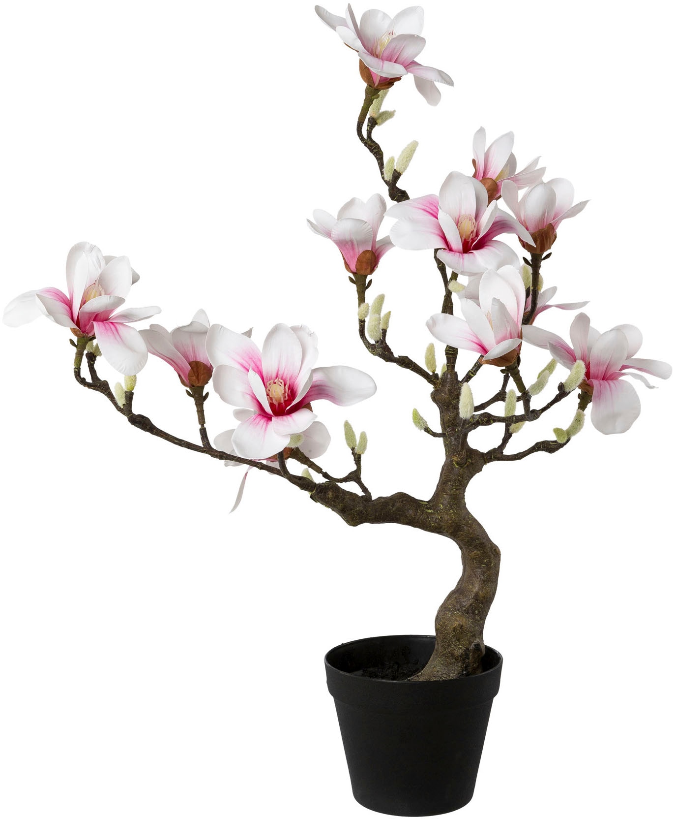 Kunstpflanze »Magnolienbaum«, im Kunststofftopf