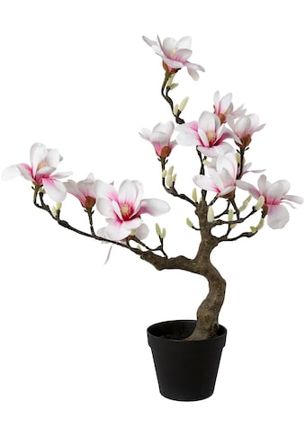 Kunstpflanze »Magnolienbaum«