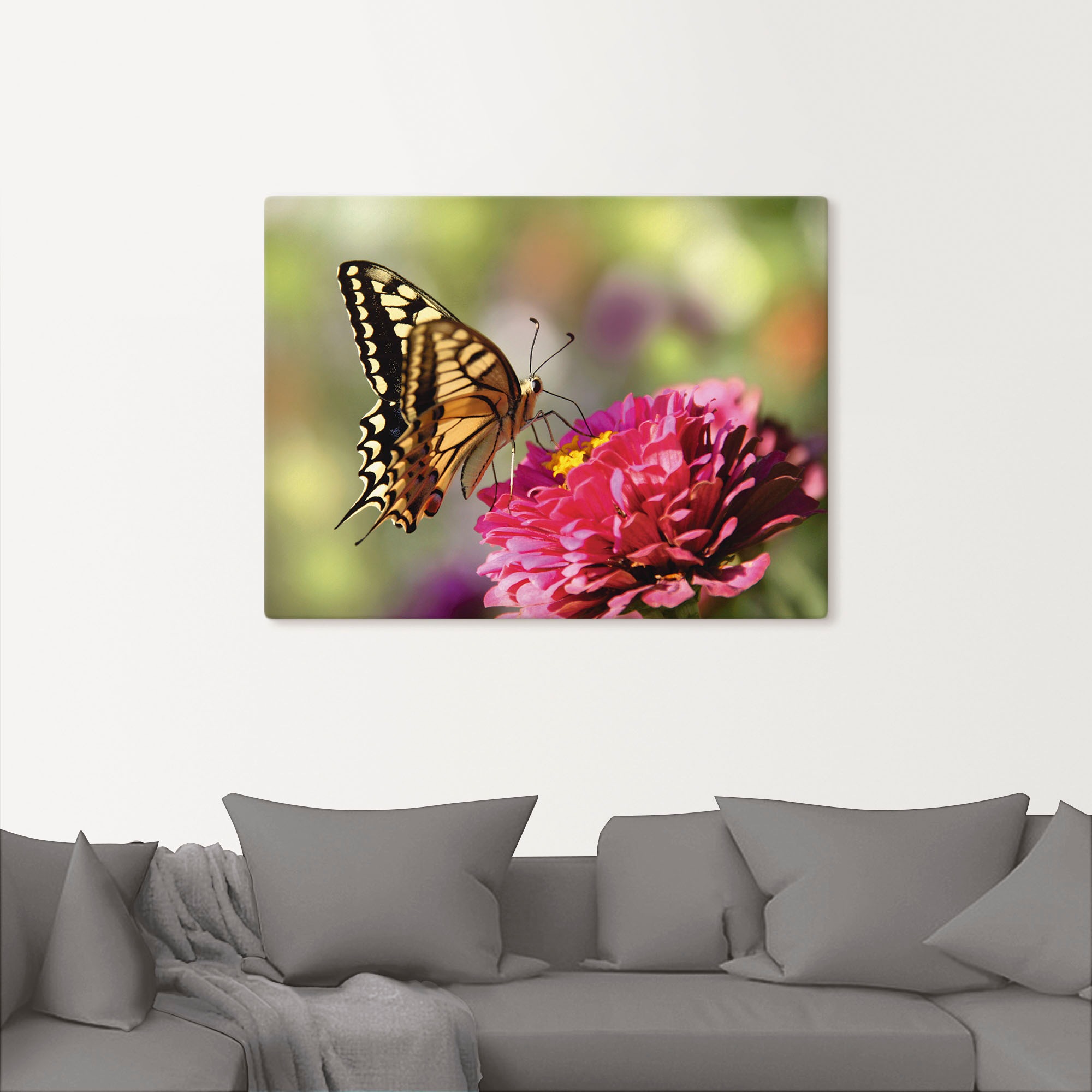 Artland Leinwandbild »Schmetterling«, Insekten, (1 St.), auf Keilrahmen gespannt