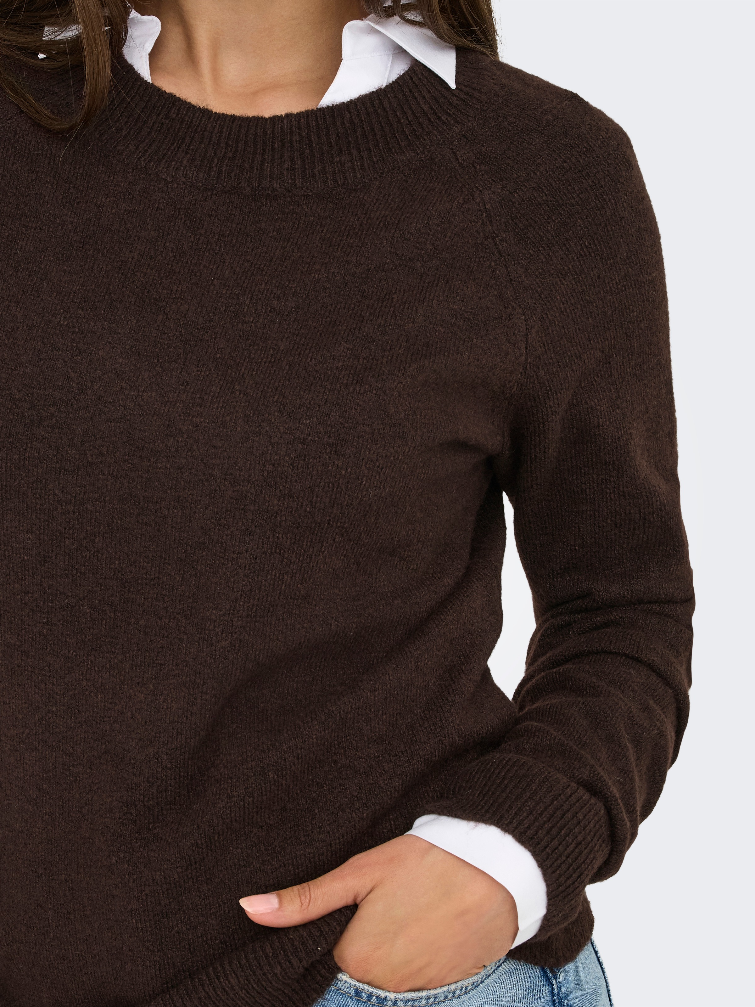 Thumbnail - ONLY Rundhalspullover "ONLRICA LIFE L/S PULLOVER KNT NOOS" Materialmix, regular fit