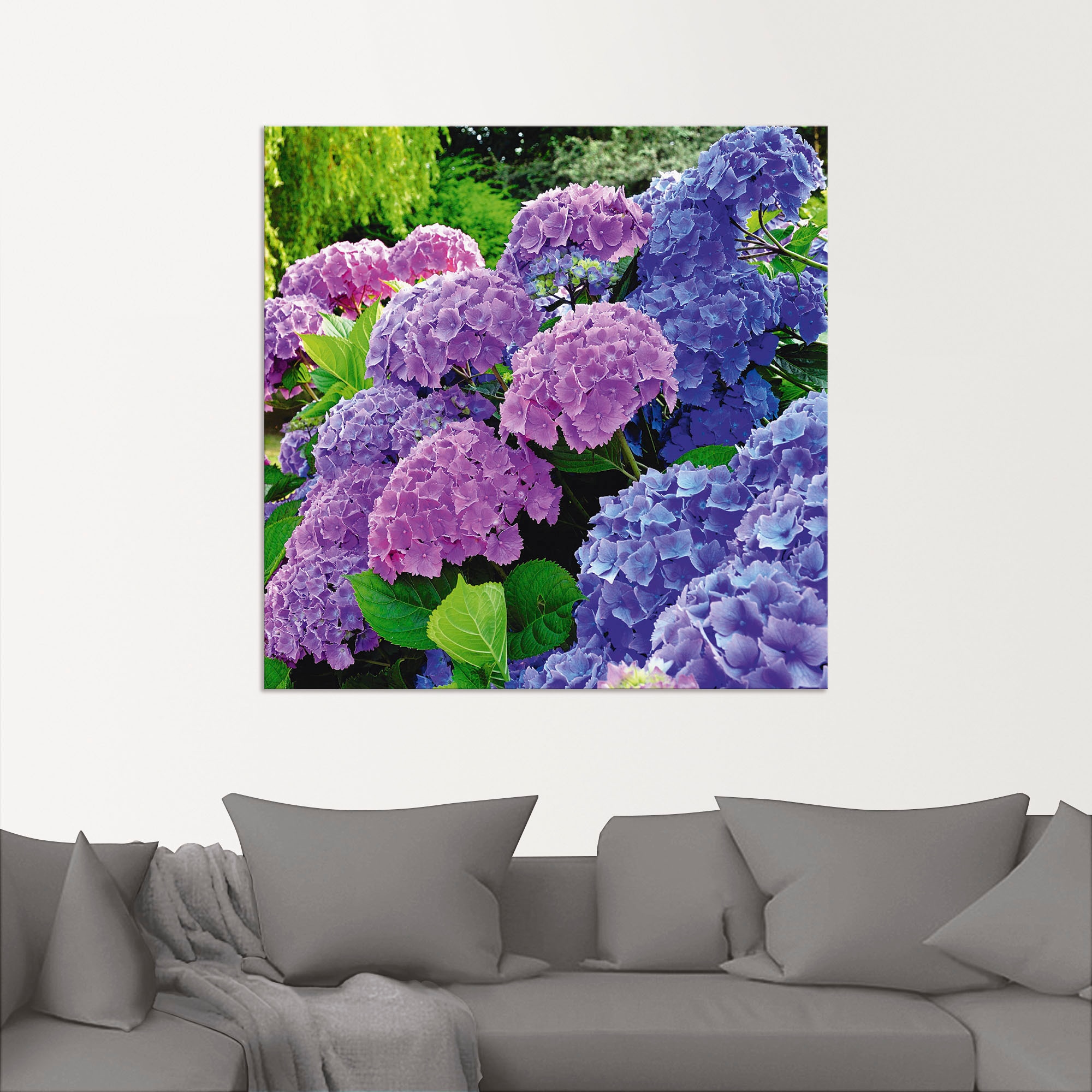 Artland Wandbild »Hortensien im Garten«, Blumen, (1 St.), als Alubild, Outdoorbild, Leinwandbild, Poster, Wandaufkleber