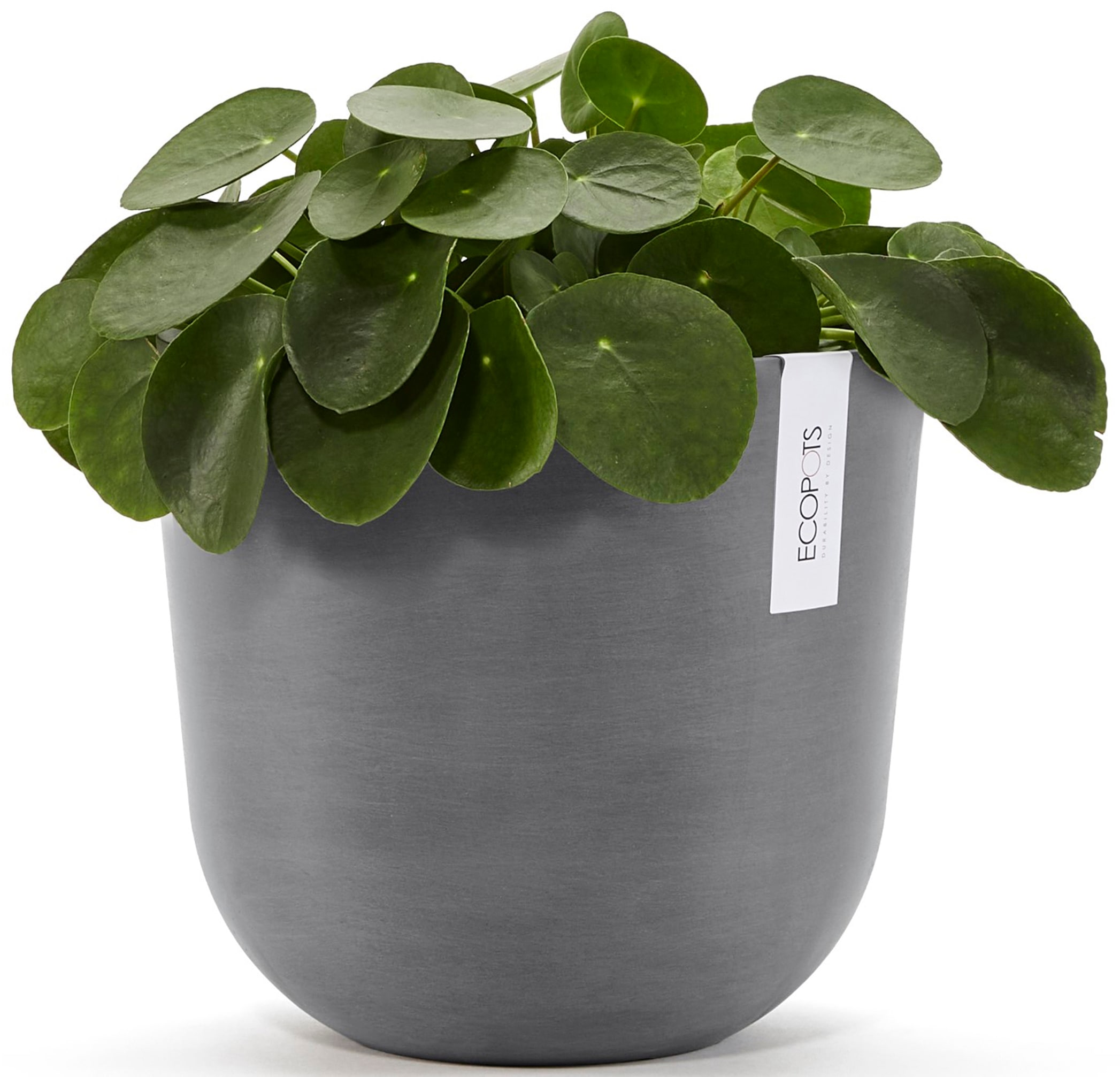 ECOPOTS Blumentopf »Oslo 25 + Wassersystem Grau«, für innen und außen: frostsicher, bruchsicher und lichtbeständig
