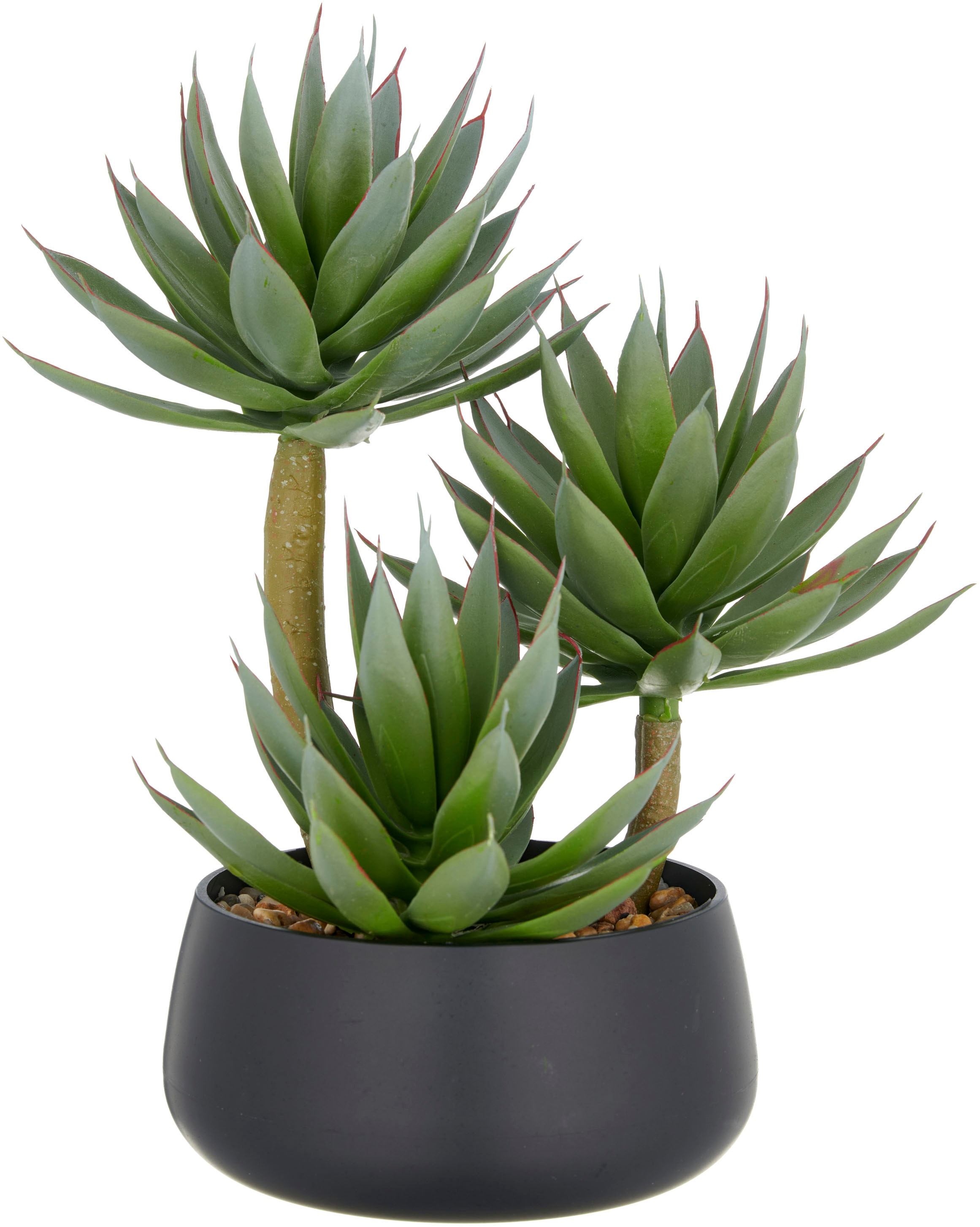 Creativ green Kunstpflanze "Agave blue glow", mit dekorativem Kies günstig online kaufen