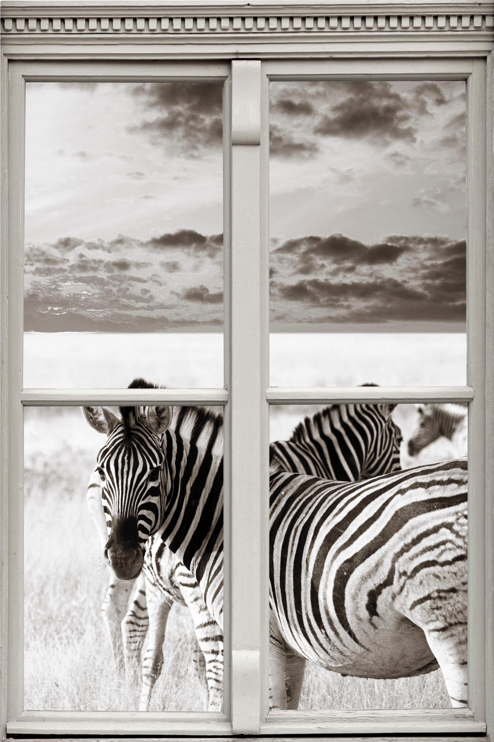 Wandsticker »Zebras«, Wandsticker, Wandbild, selbstklebend, 3D, Fenster