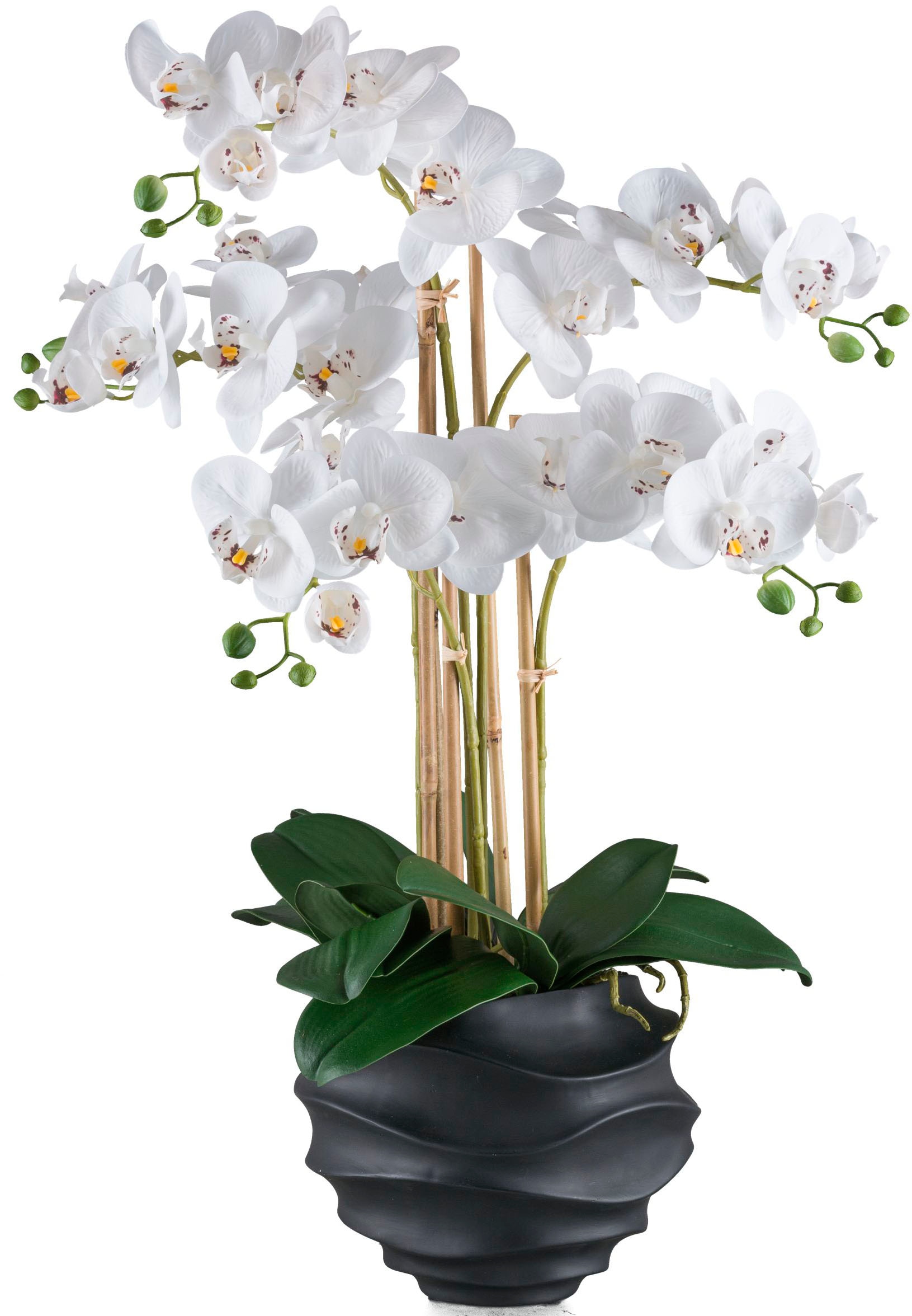 Kunstorchidee »Orchidee Phalaenopsis«, im Design-Topf