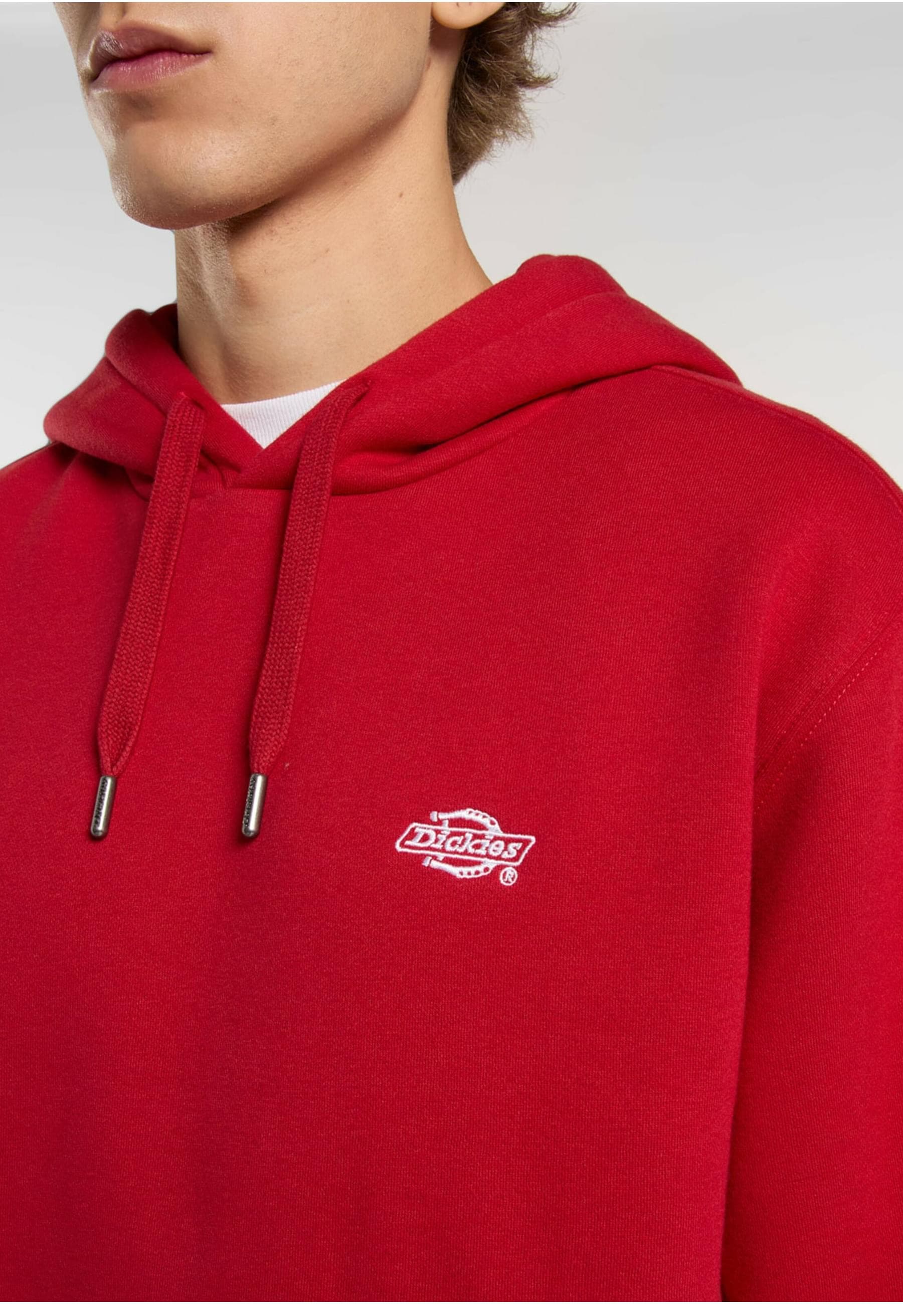 Dickies Kapuzensweatshirt »Dickies Workwear Dickies Summerdale Hoodie«, (1 tlg.)