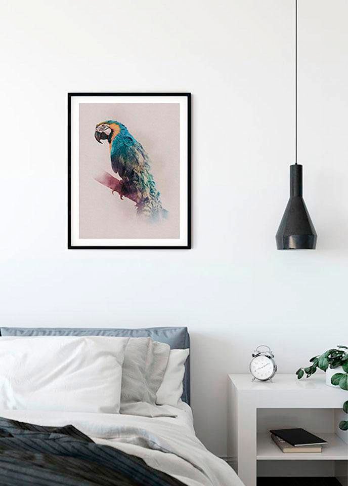 Komar Poster »Animals Paradise Parrot«, Tiere, (1 St.), Kinderzimmer, Schlafzimmer, Wohnzimmer