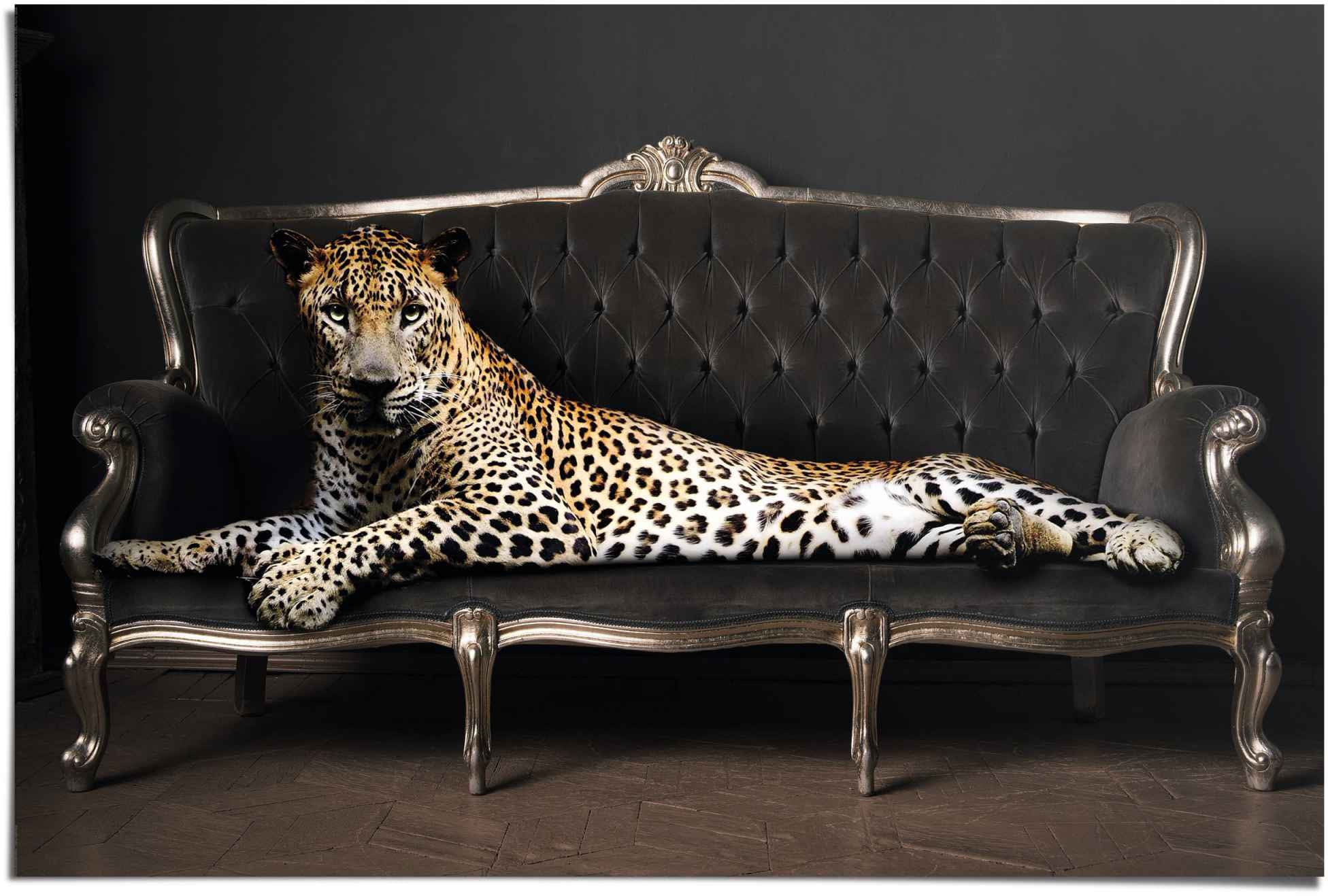 Reinders Poster "Leopard Chic Panther - Liegend - Luxus - Relax" 1 Stk. tlg günstig online kaufen