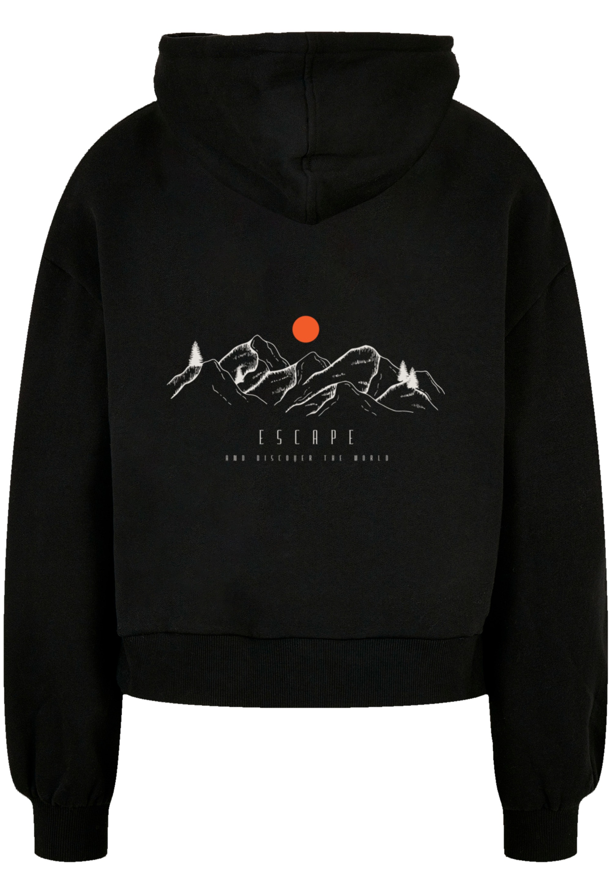 F4NT4STIC Kapuzenpullover »MOUNTAIN x F4NT4STIC«, Print