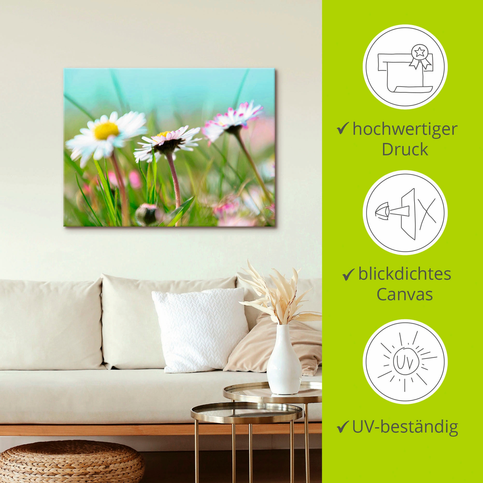 Artland Leinwandbild »Gänseblümchen Romantik«, Blumen, (1 St.), auf Keilrahmen gespannt