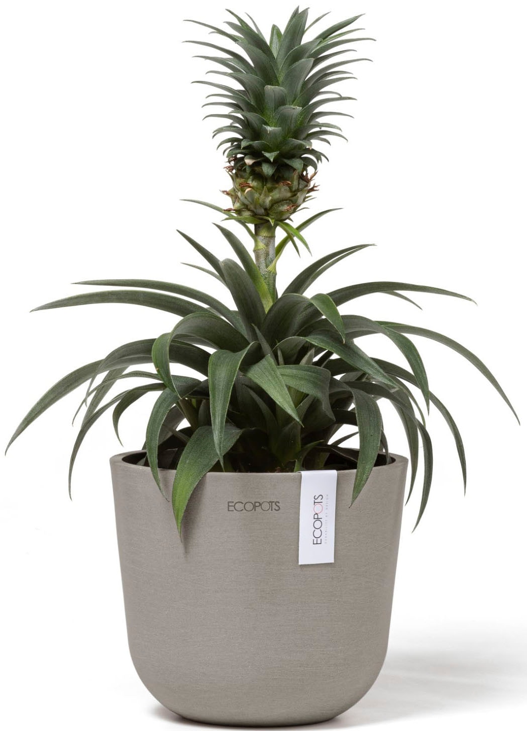 ECOPOTS Blumentopf »Oslo Mini 16 Taupe« für den Innenbereich
