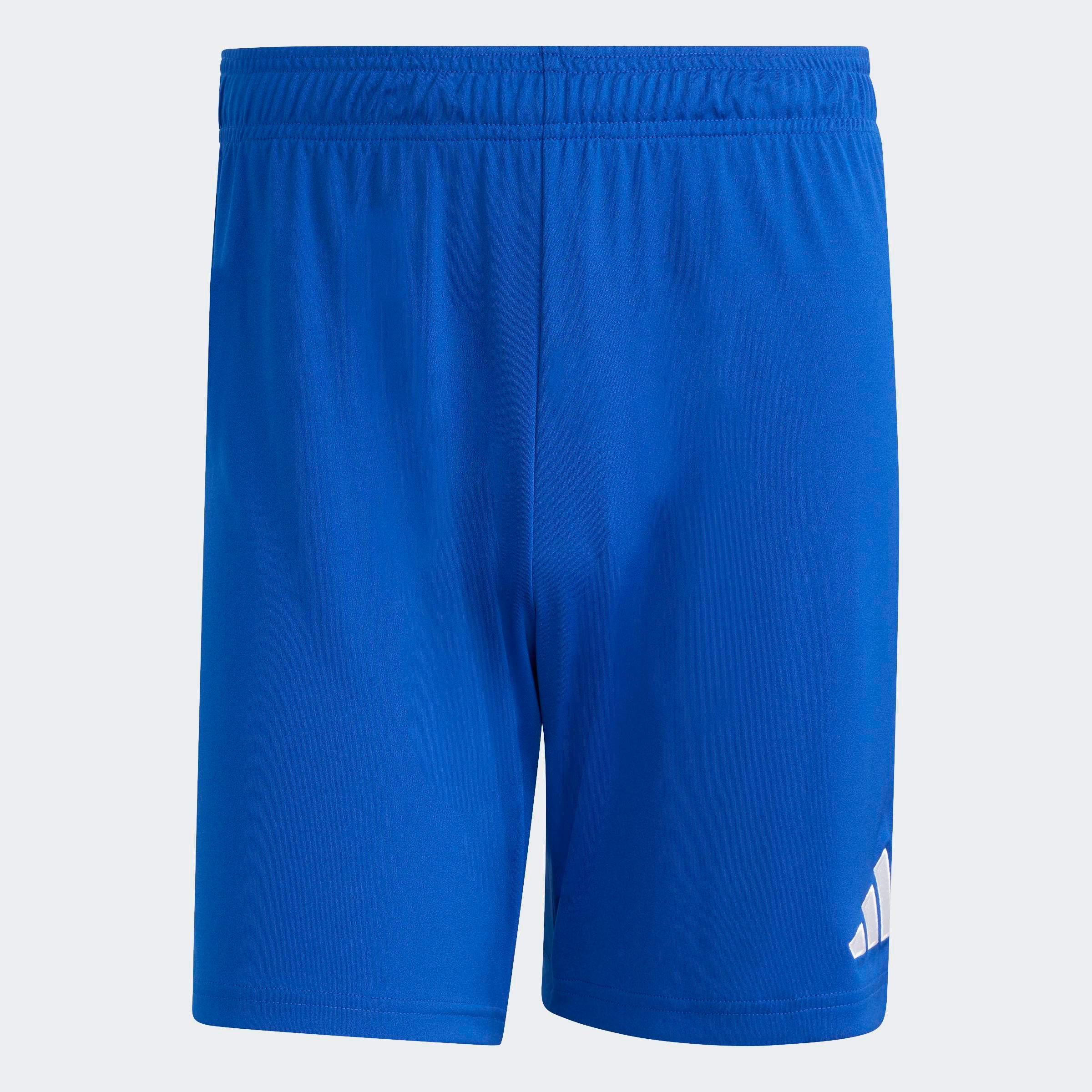 adidas Performance Trainingsshorts »ENT26 SHO«