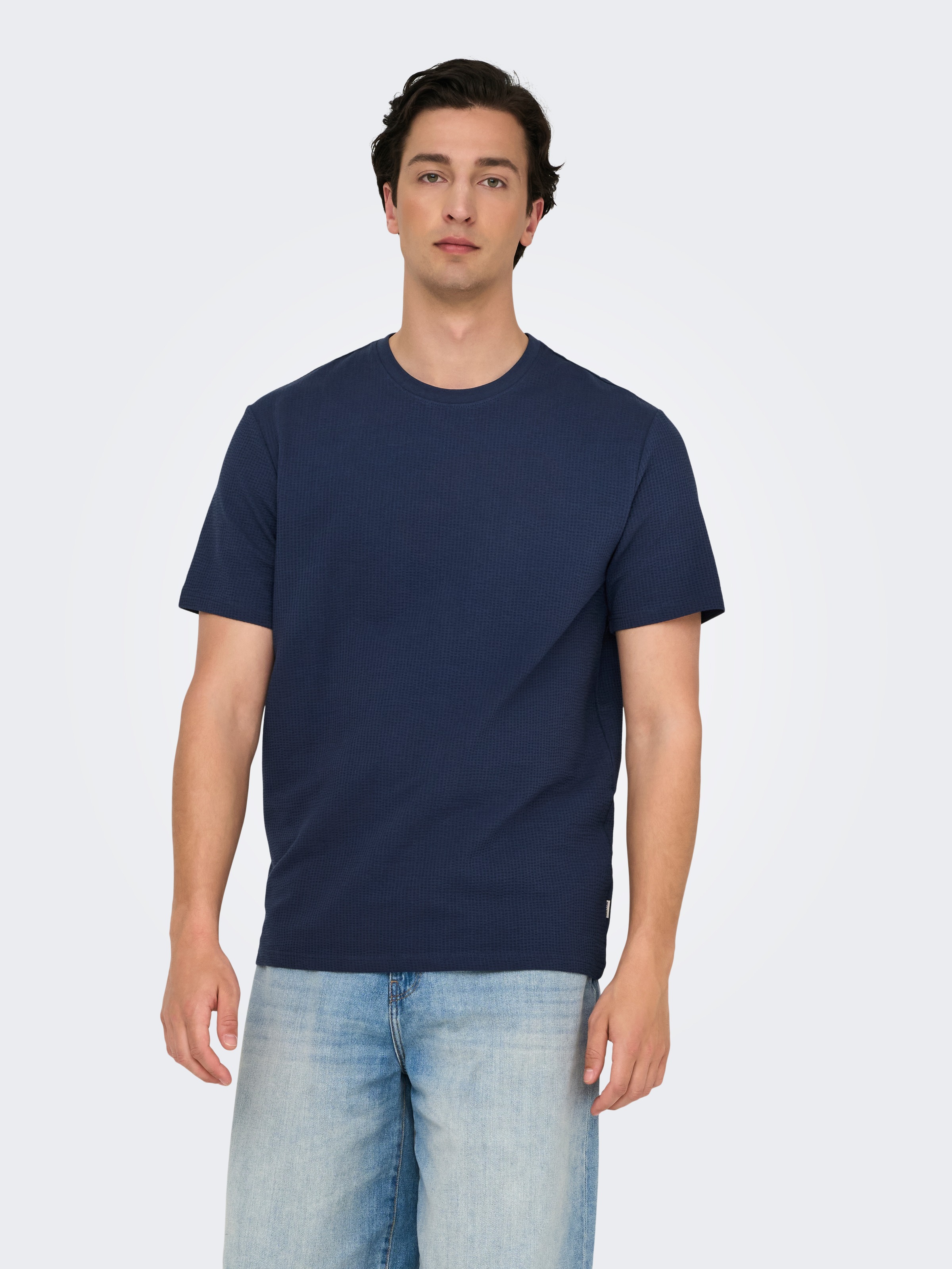 ONLY & SONS Rundhalsshirt "ONSKIAN LIFE REG SEERSUCKER SS TEE NOOS" günstig online kaufen