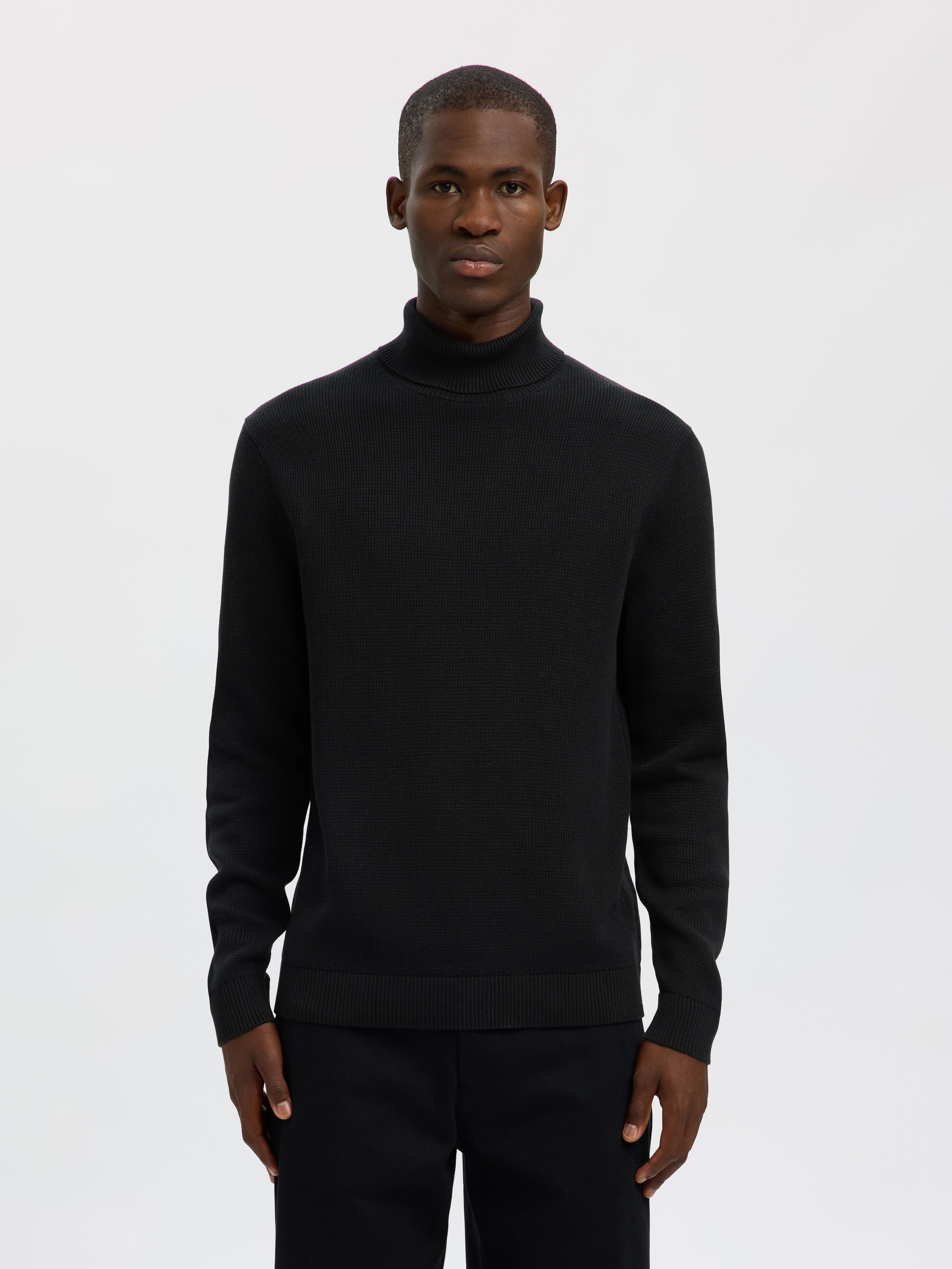 Selected Herren Rollkragen Pullover SLHDANE LS KNIT STRUCTURE ROLL NECK - R günstig online kaufen