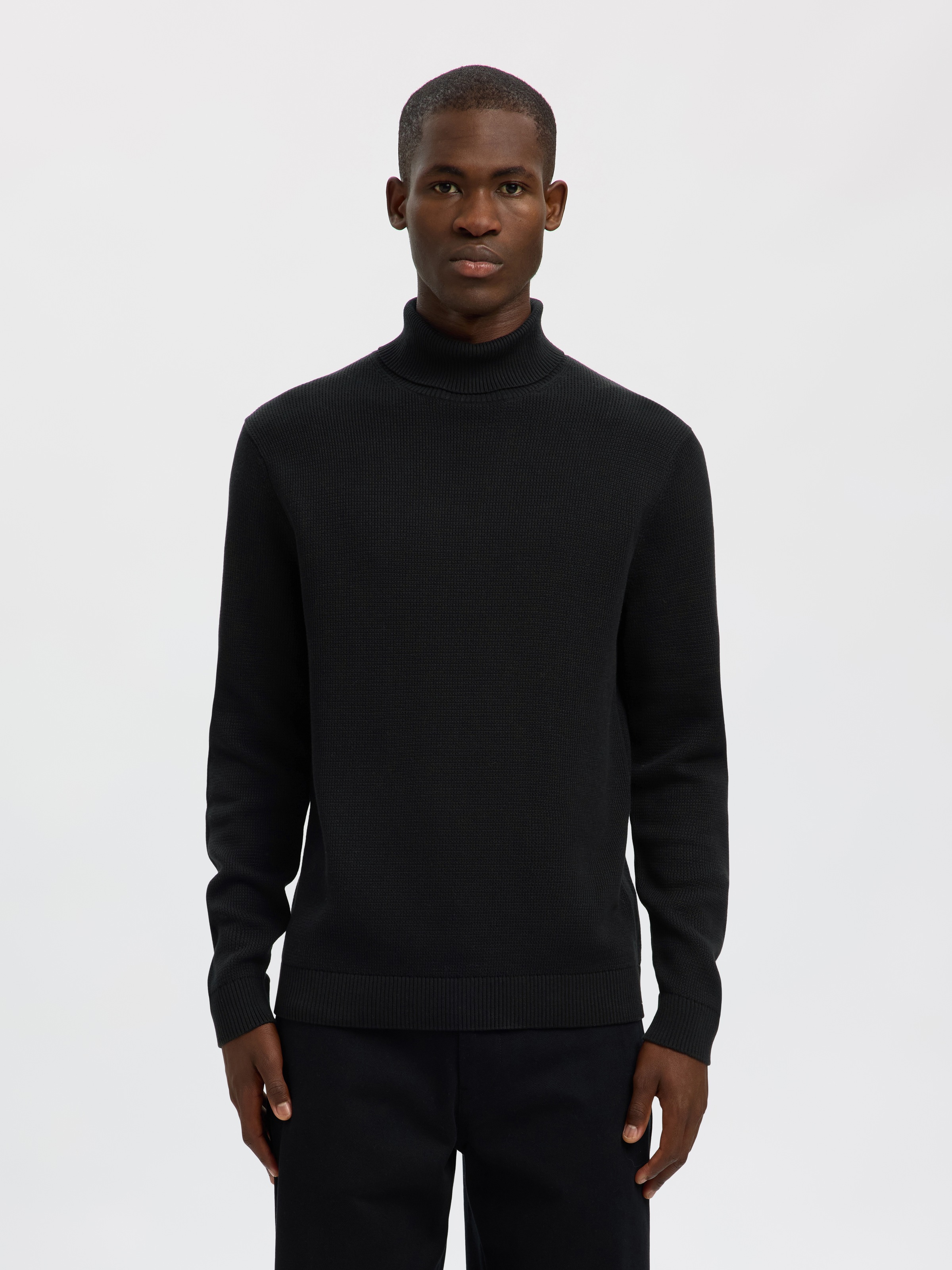 SELECTED Rollkragenpullover "SLHDANE LS KNIT STRUCTURE ROLL NECK NOOS" günstig online kaufen