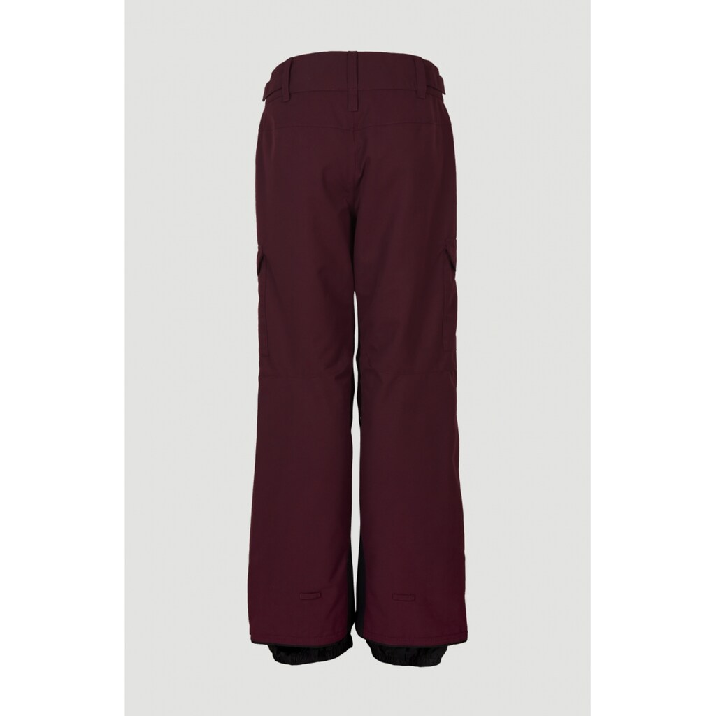 O'Neill Cargohose »UTILITY PANTS«