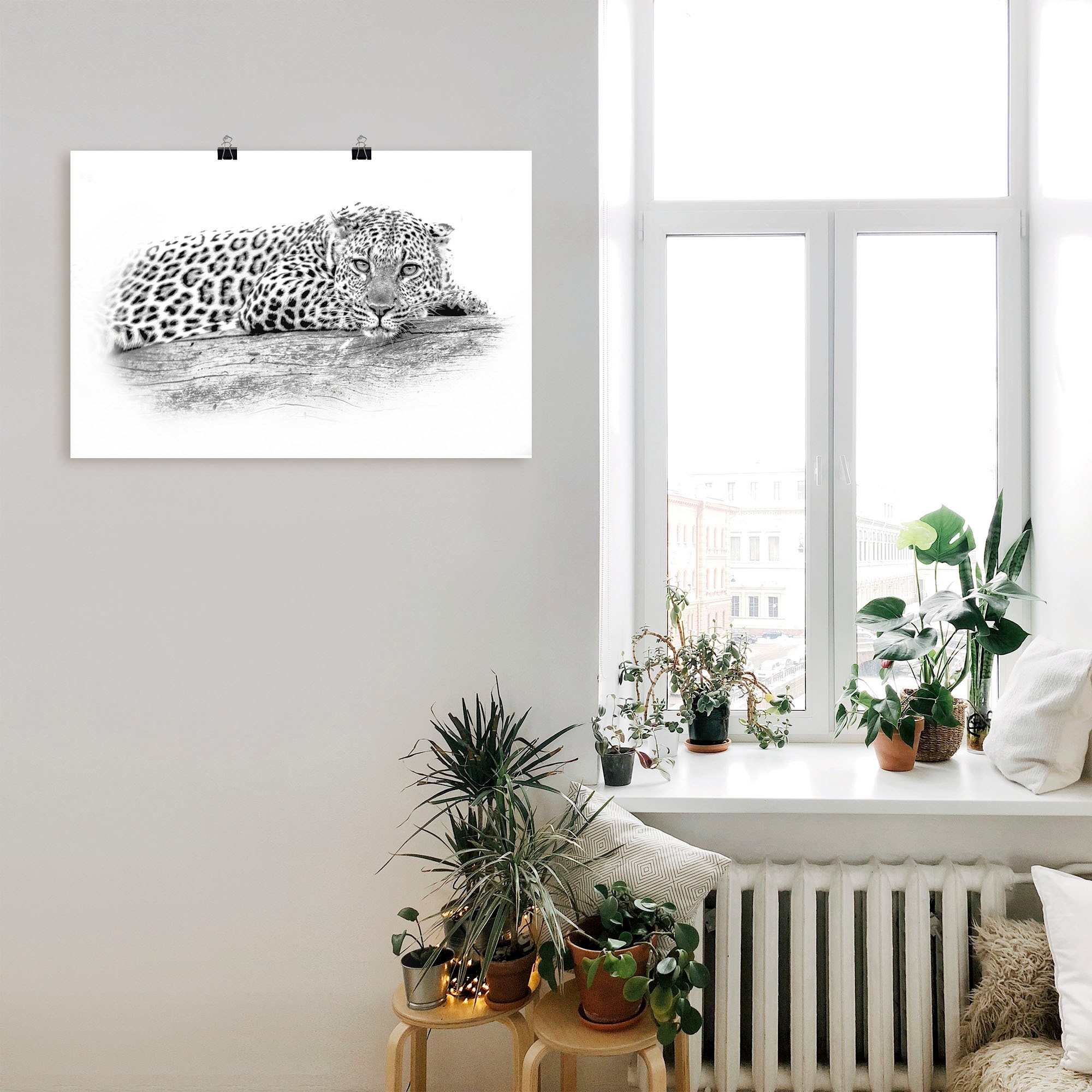Artland Wandbild »Leopard High Key Optik«, Wildtiere, (1 St.), als Alubild, Leinwandbild, Wandaufkleber oder Poster in versch. Größen