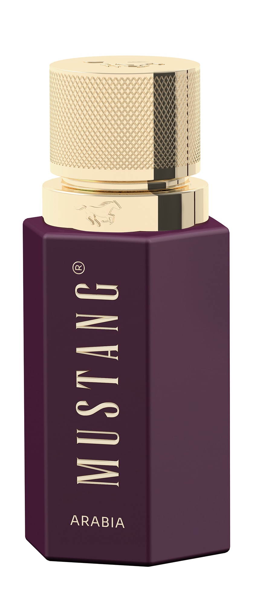 MUSTANG Eau de Parfum »Wild Horizon Arabia« flüssige Formulierung, mit 50 ml, für eine einfache Anwendung