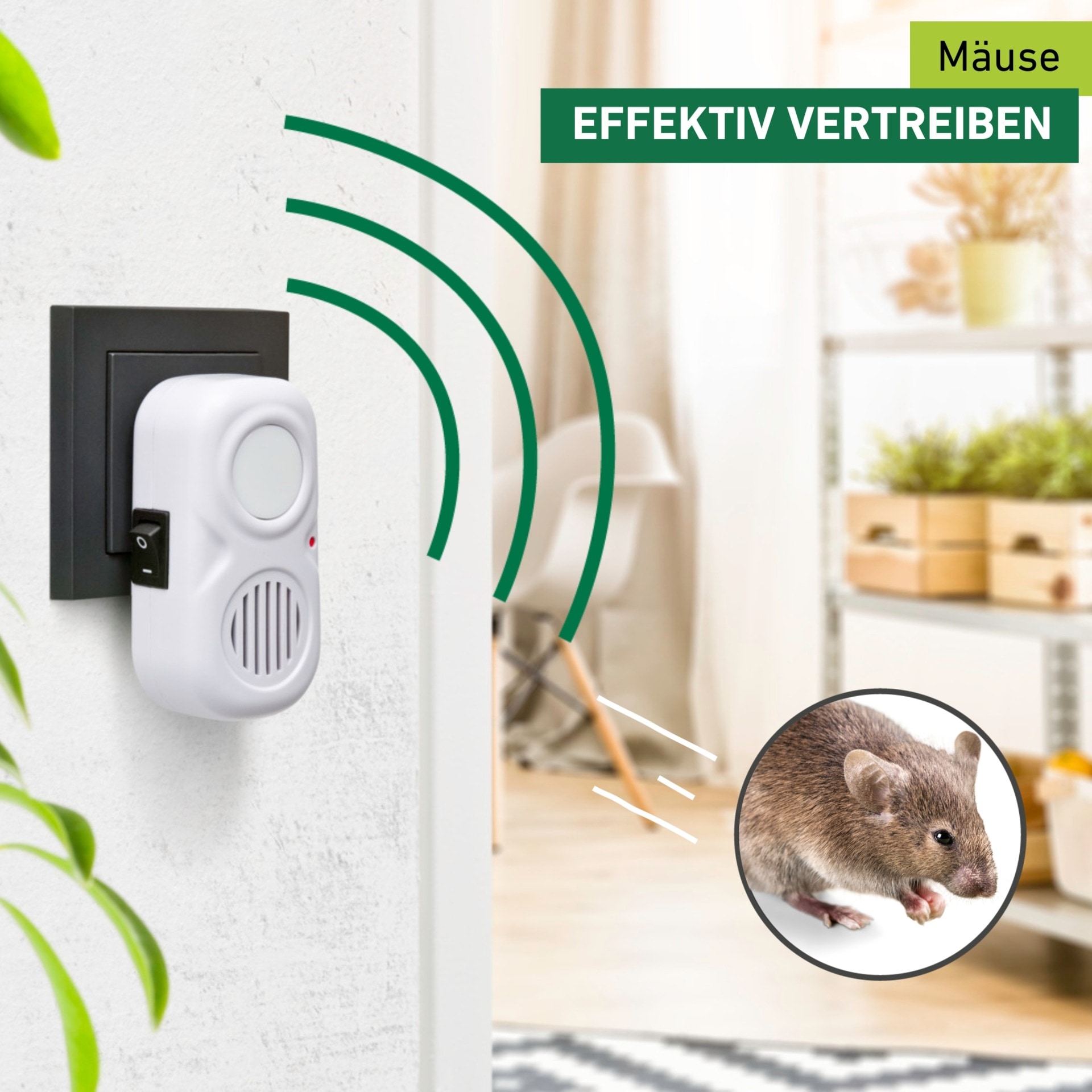Windhager Ultraschall-Tierabwehr »Mausvertreiber Electro Comfort für Steckdosen« Mäuseabwehr mit einem Wirkungsbereich bis zu 30 m², weiß