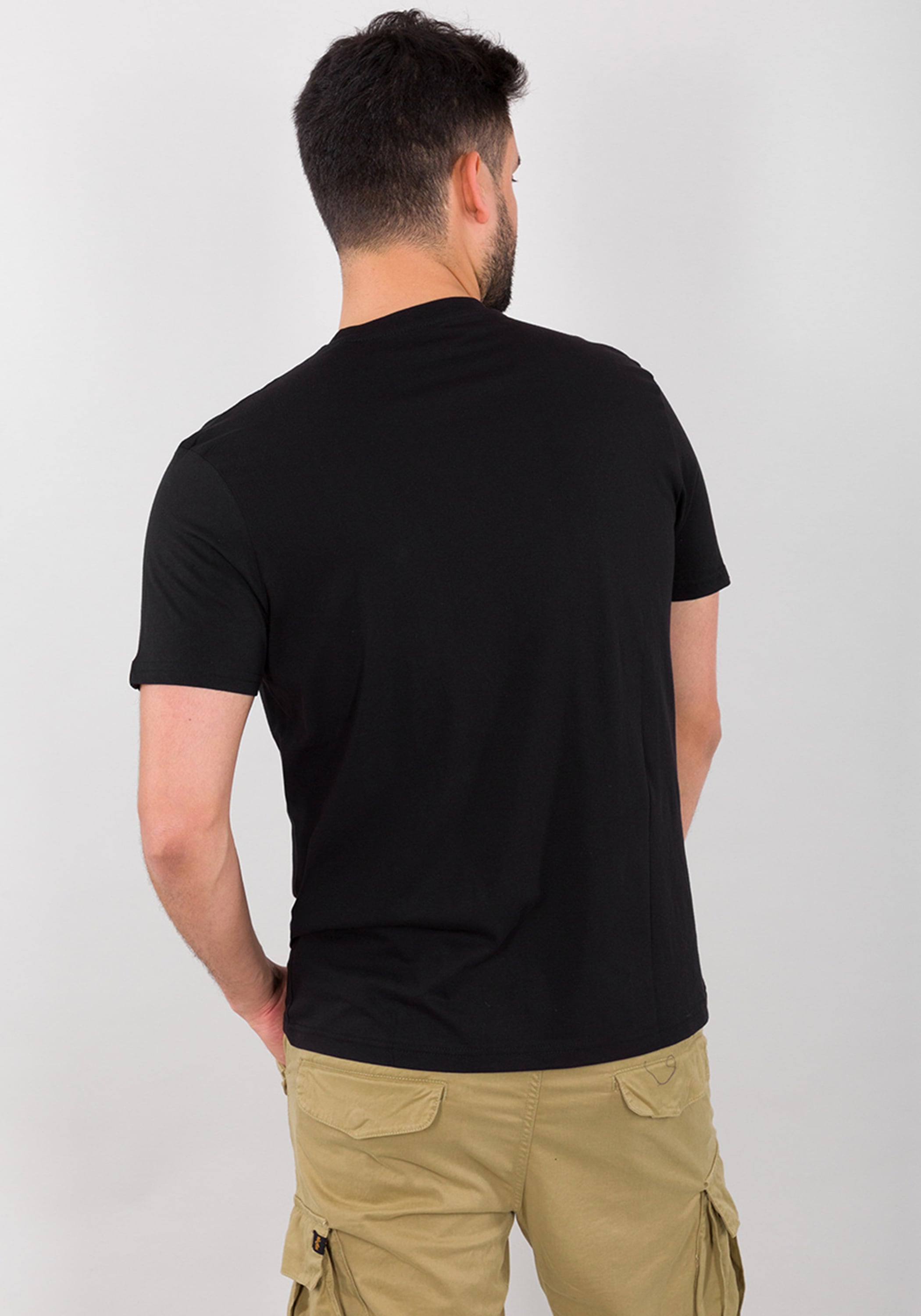 Alpha Industries T-Shirt "Block Logo T-Shirt" günstig online kaufen