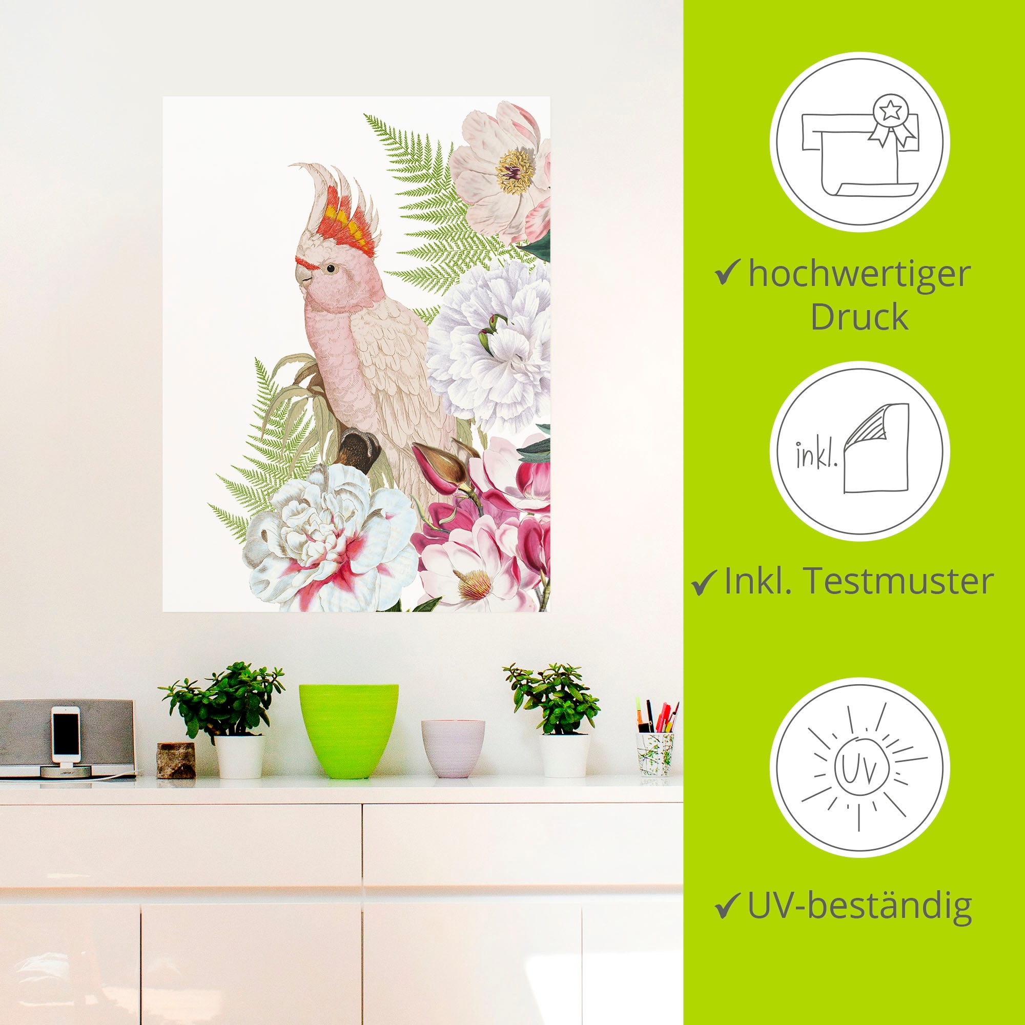 Artland Wandbild »Vintage Papagei II«, Vogelbilder, (1 St.), als Leinwandbild, Poster, Wandaufkleber in verschied. Größen