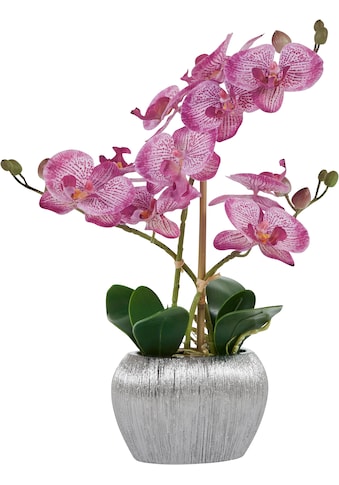 Home affaire Kunstpflanze »Orchidee«, (1 St.), Kunstorchidee, im Topf kaufen