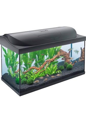 Tetra Aquarien-Set »Starter Line LED« 105 l