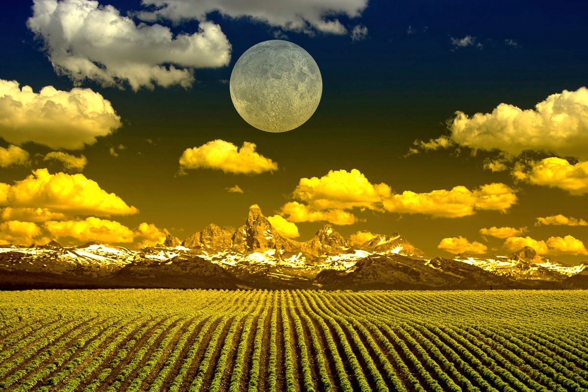 Papermoon "Felder mit Mond"