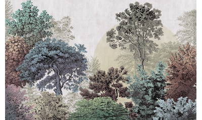 Komar Fototapete »Bois Brumeux«, botanisch-tropisch-Motiv, BxL: 400x250 cm, 150 g/m²,... kaufen