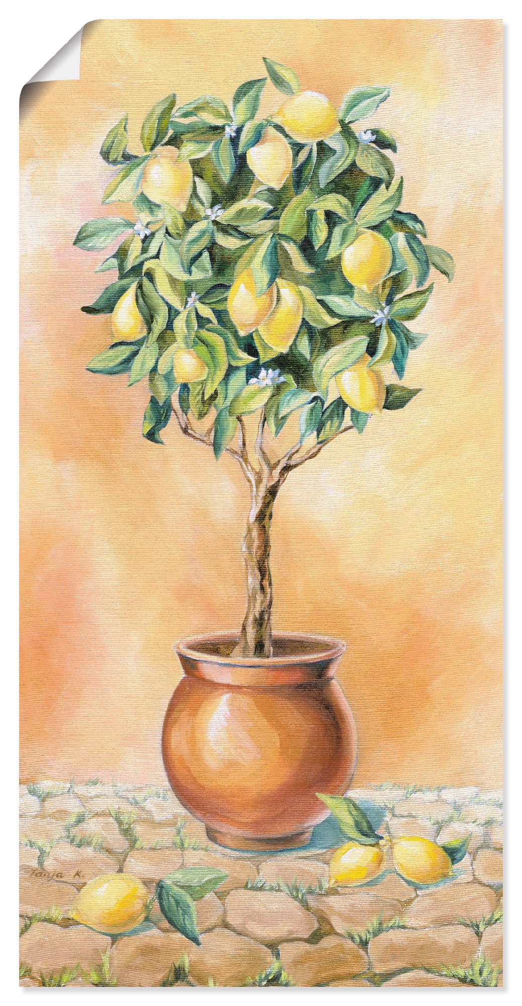 Artland Wandbild »Zitronenbaum I«, bestellen Pflanzen, Größen | als versch. Wandaufkleber St.), (1 Poster oder Leinwandbild, BAUR Alubild, in