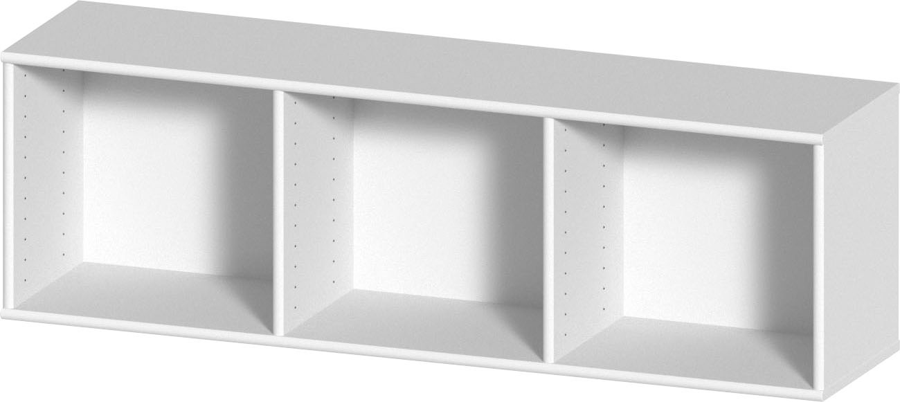 Hammel Furniture Lowboard »Mistral, Hochwertig Schrank, hängend/stehend montierbar«, mit zwei Glastüren, B: 133 cm, anpassungsbar Designmöbel