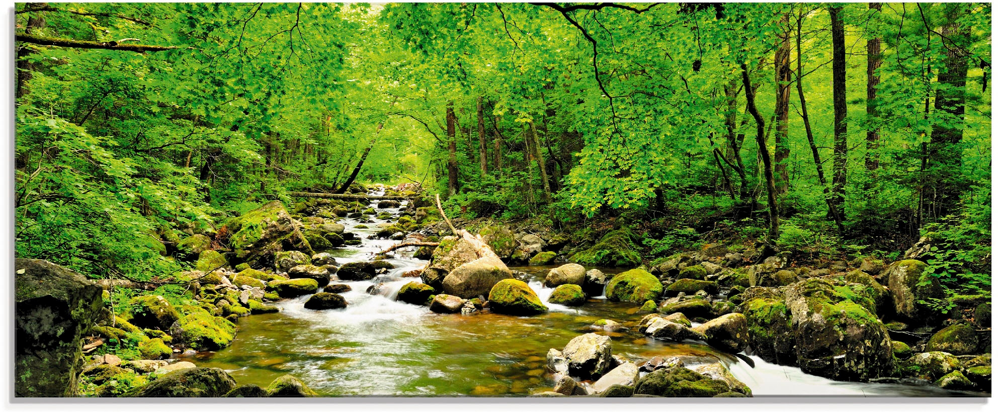 Artland Stiklinis paveikslas »Herbstwald Fluss...