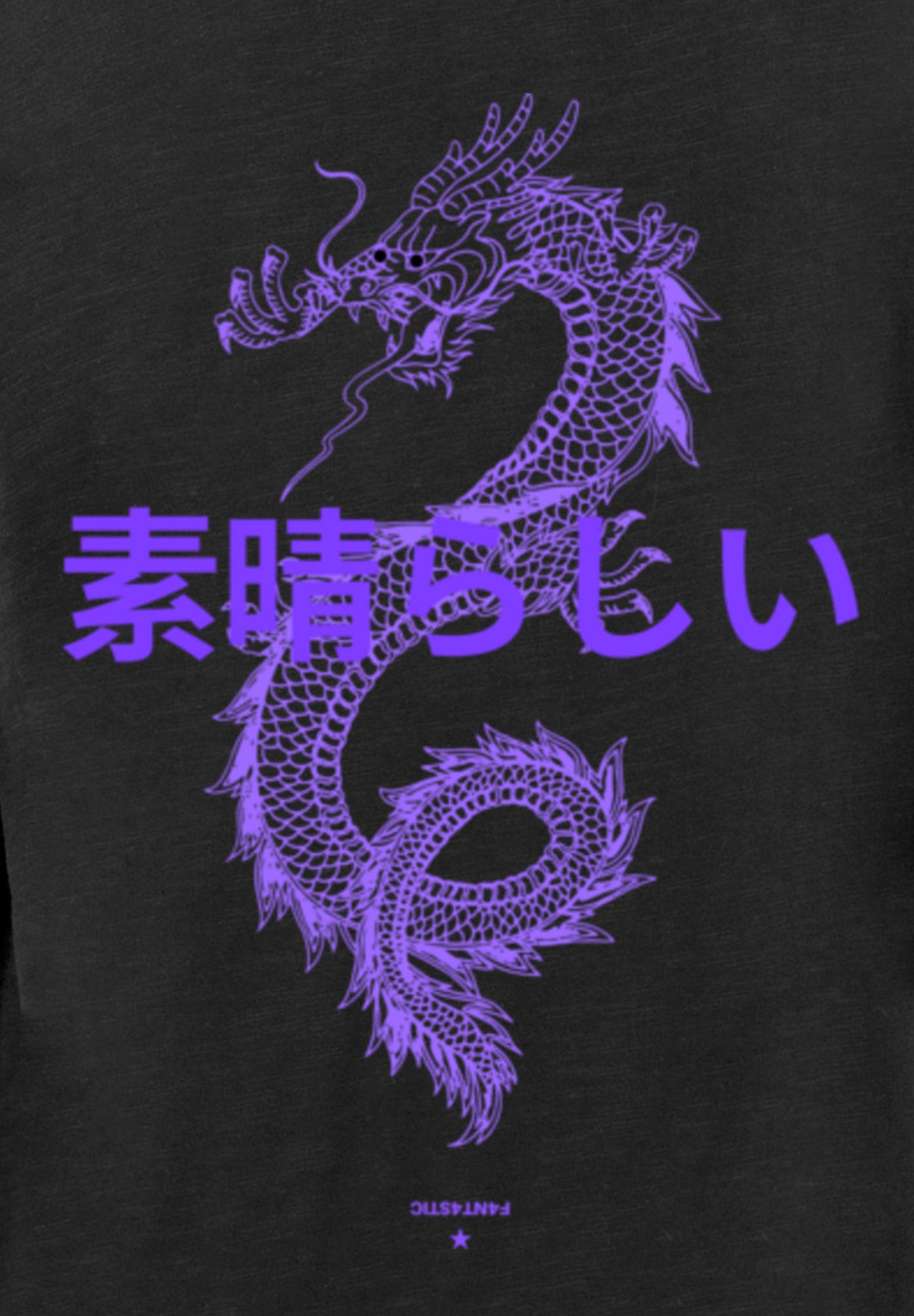 F4NT4STIC T-Shirt »PLUS SIZE Dragon Drache Japan«, Print