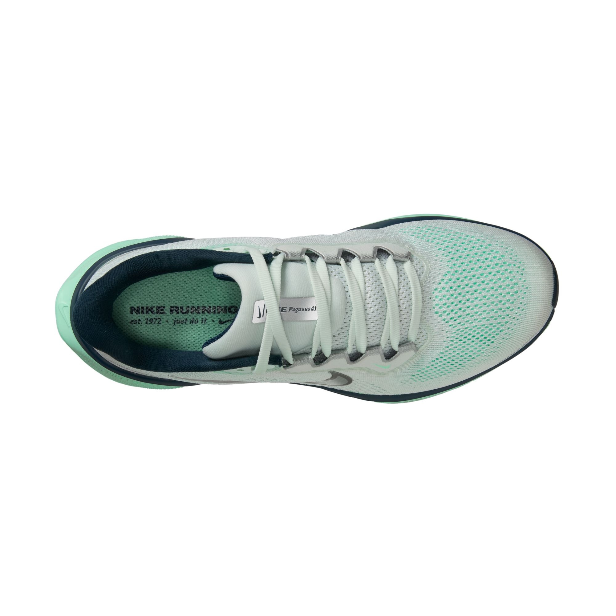 Nike Laufschuh »W AIR ZOOM PEGASUS 41«