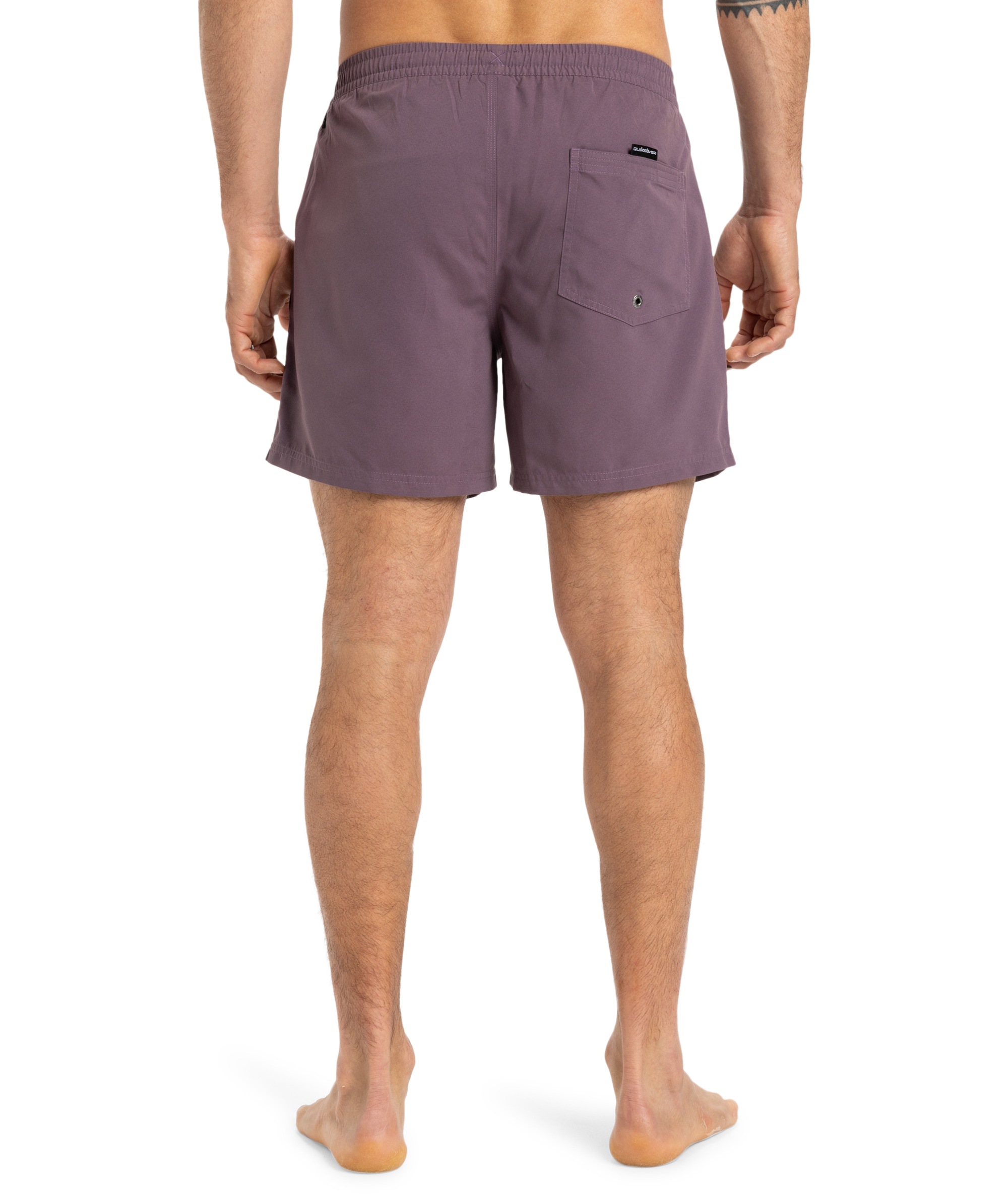 Quiksilver Badeshorts »EVERYDAY VOLLEY 15«, (1 St.)