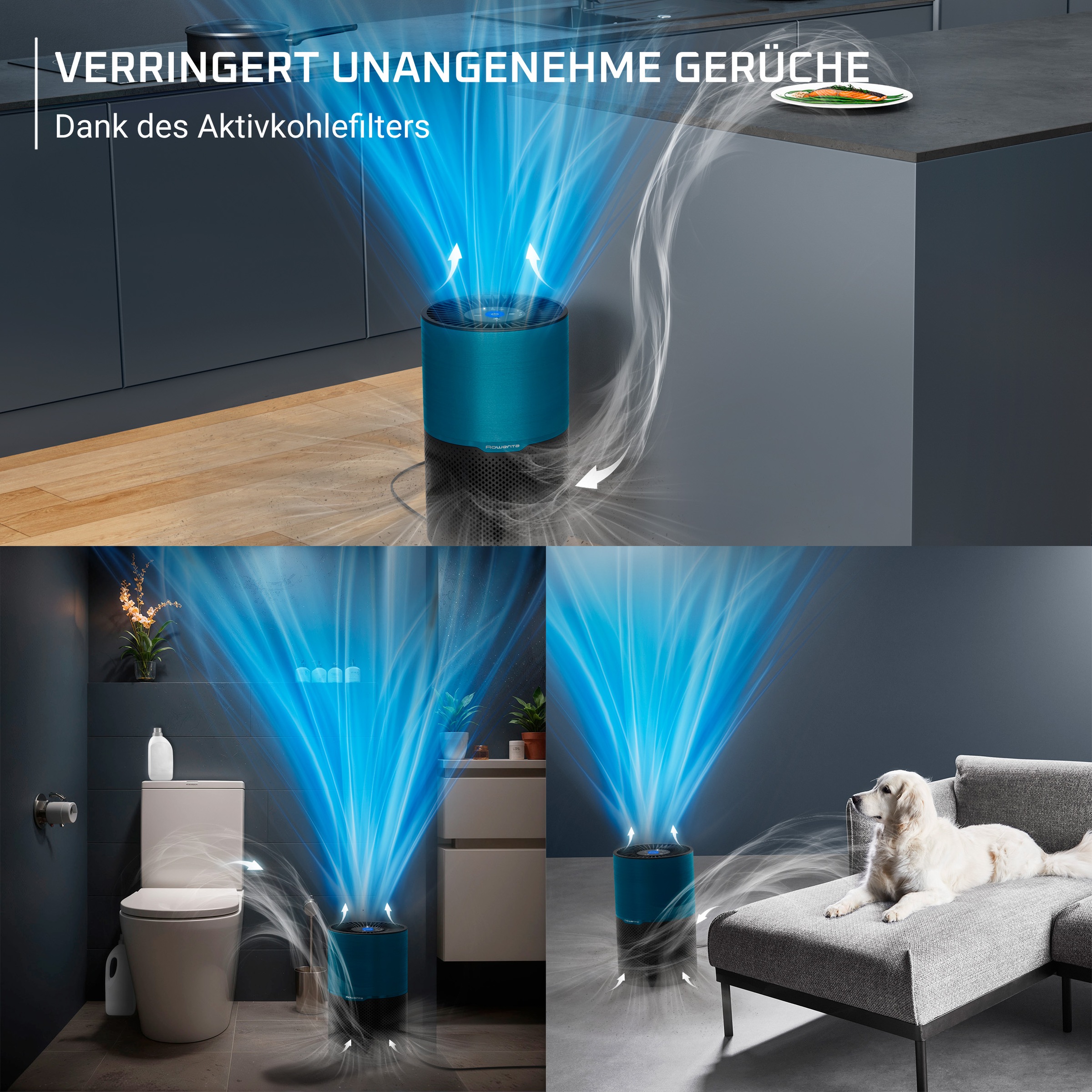 Rowenta Luftreiniger »Pure Air Compact« für 52 qm Räume bis 52 m², 3-in-1 Filterung, Echtzeit-Luftqualitätsanzeige
