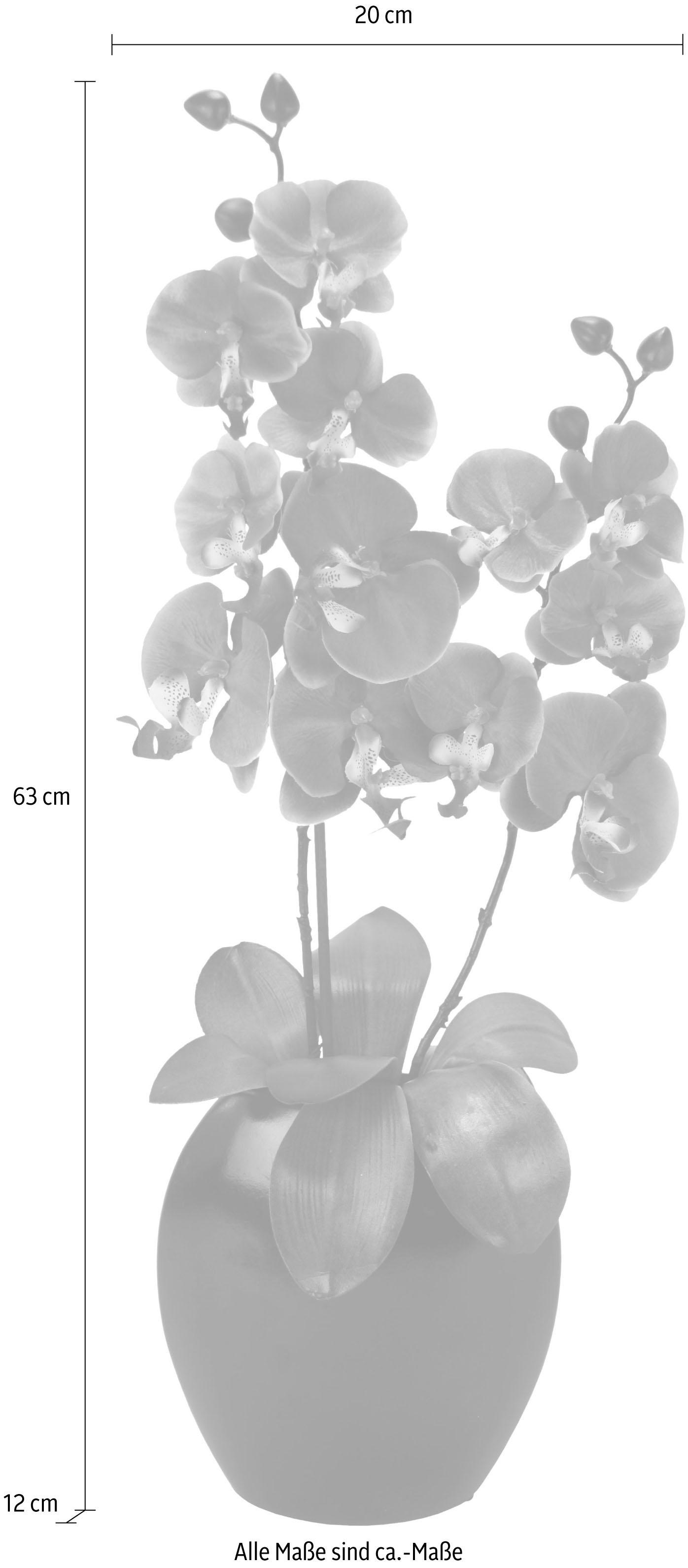 I.GE.A. Kunstpflanze »Phalaenopsis in Vase«