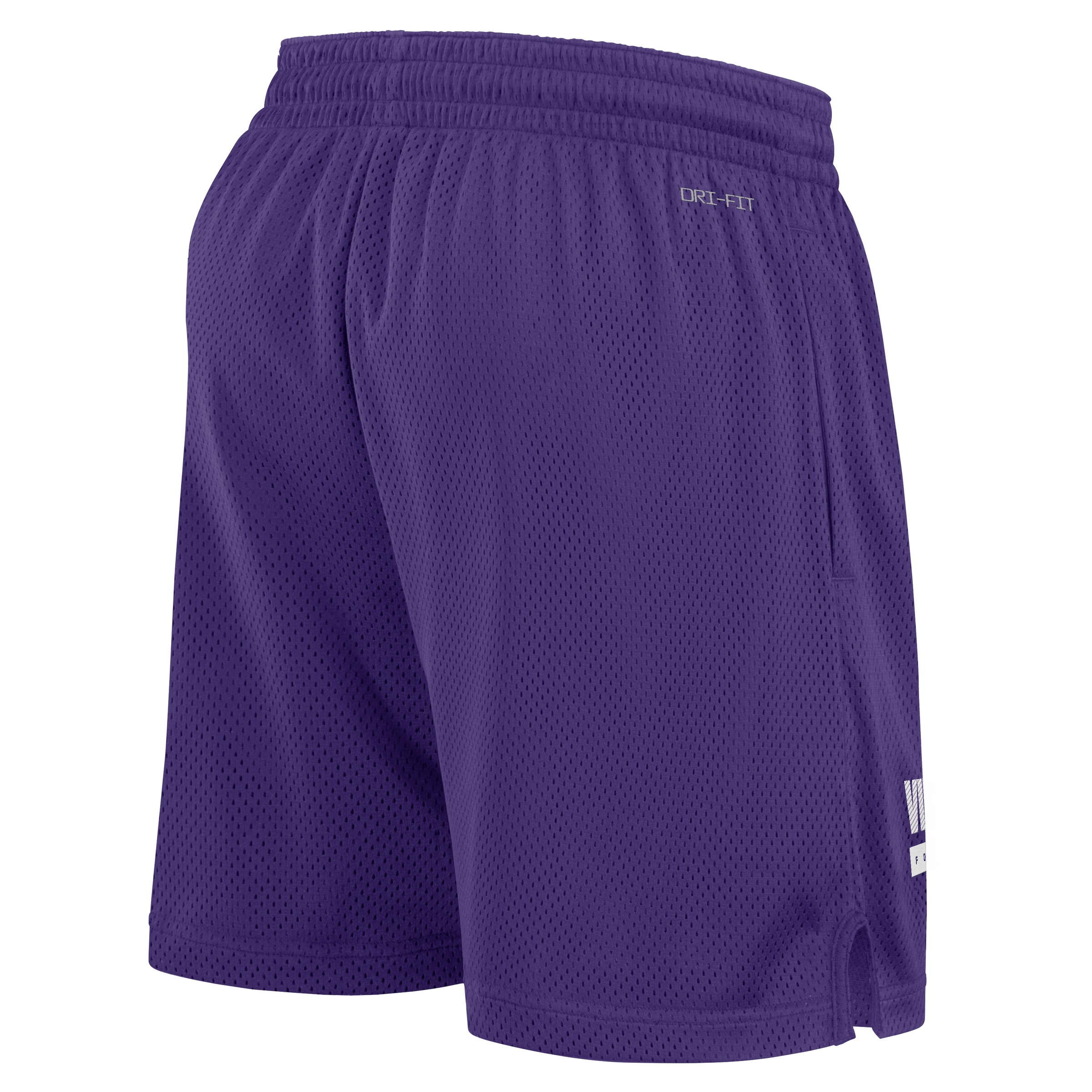 Nike Sporthose "Nike Shorts Minnesota Vikings Nike Dri-Fit Mesh" günstig online kaufen