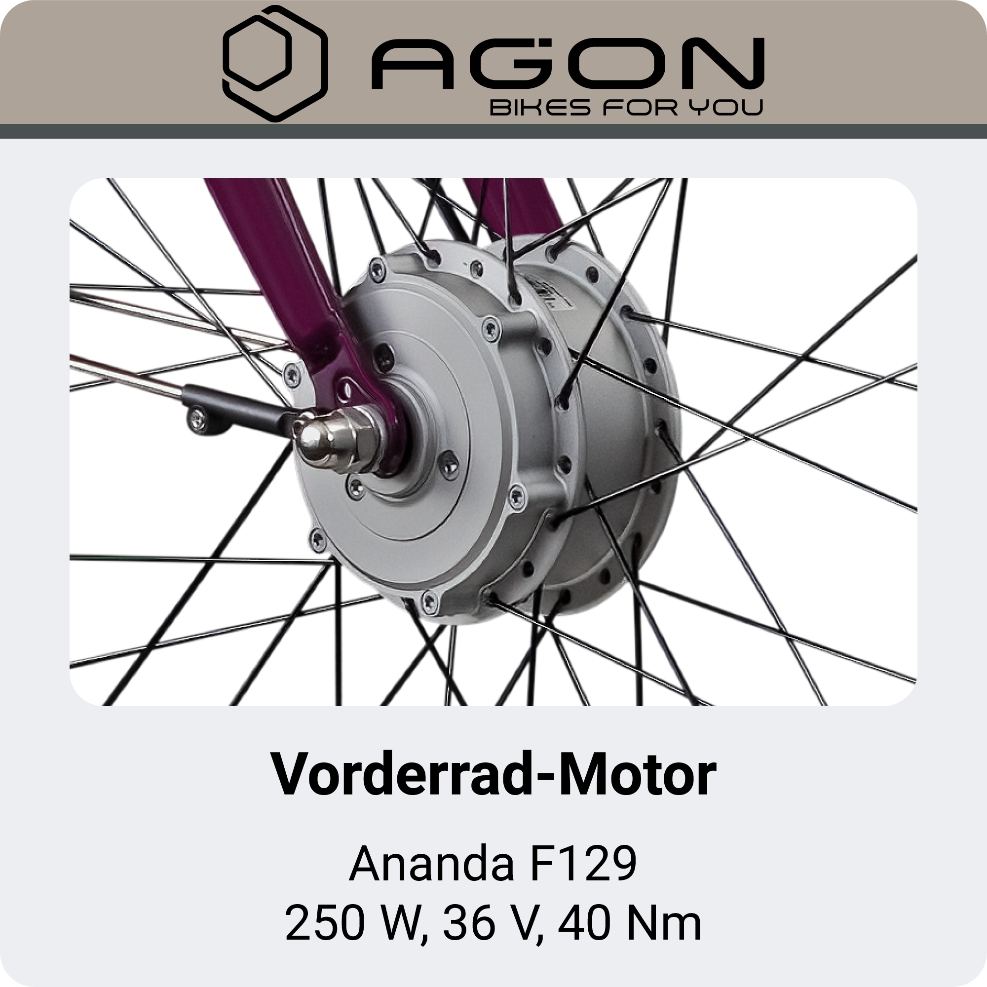 AGON »Axis« 3 Gang Nabenschaltung Frontmotor 250 W Pedelec, Elektrofahrrad für Damen u. Herren