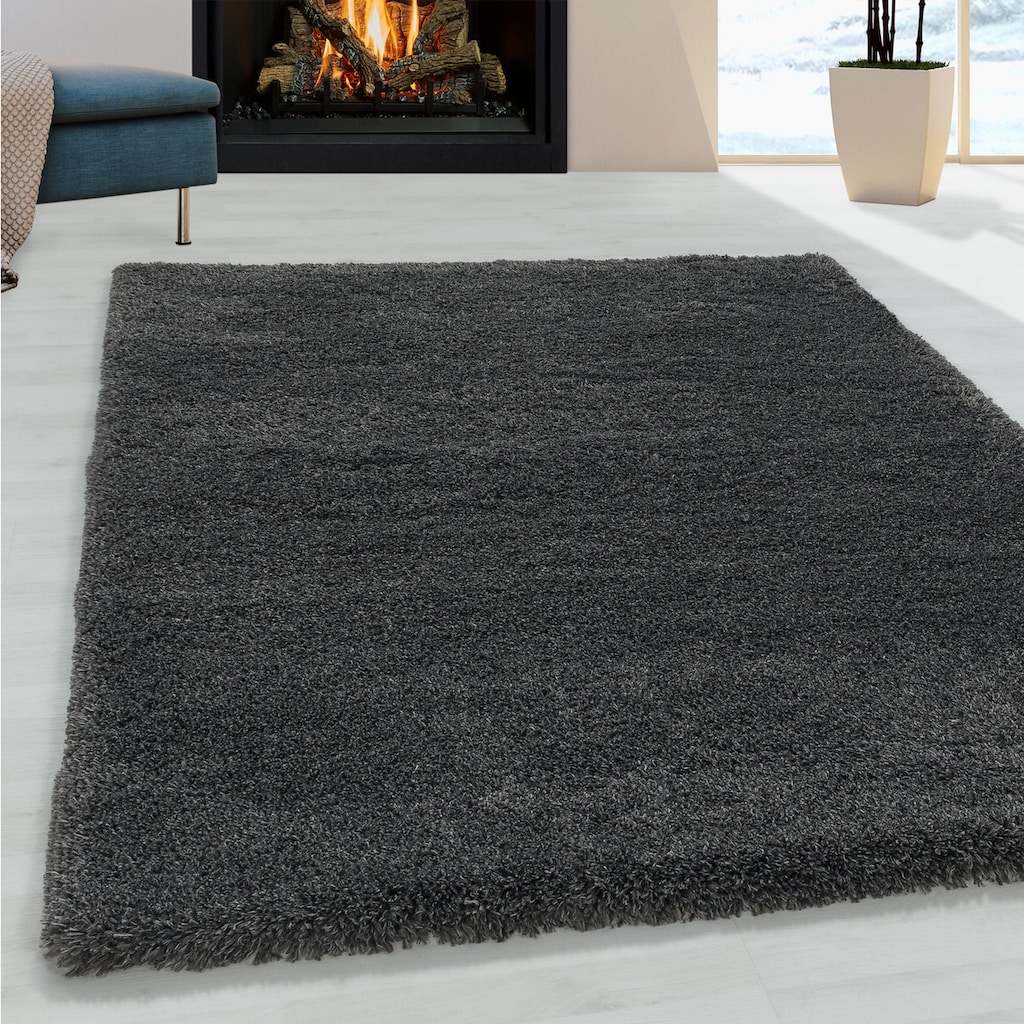 Ayyildiz Teppiche Hochflor-Teppich »FLUFFY 3500«, rechteckig