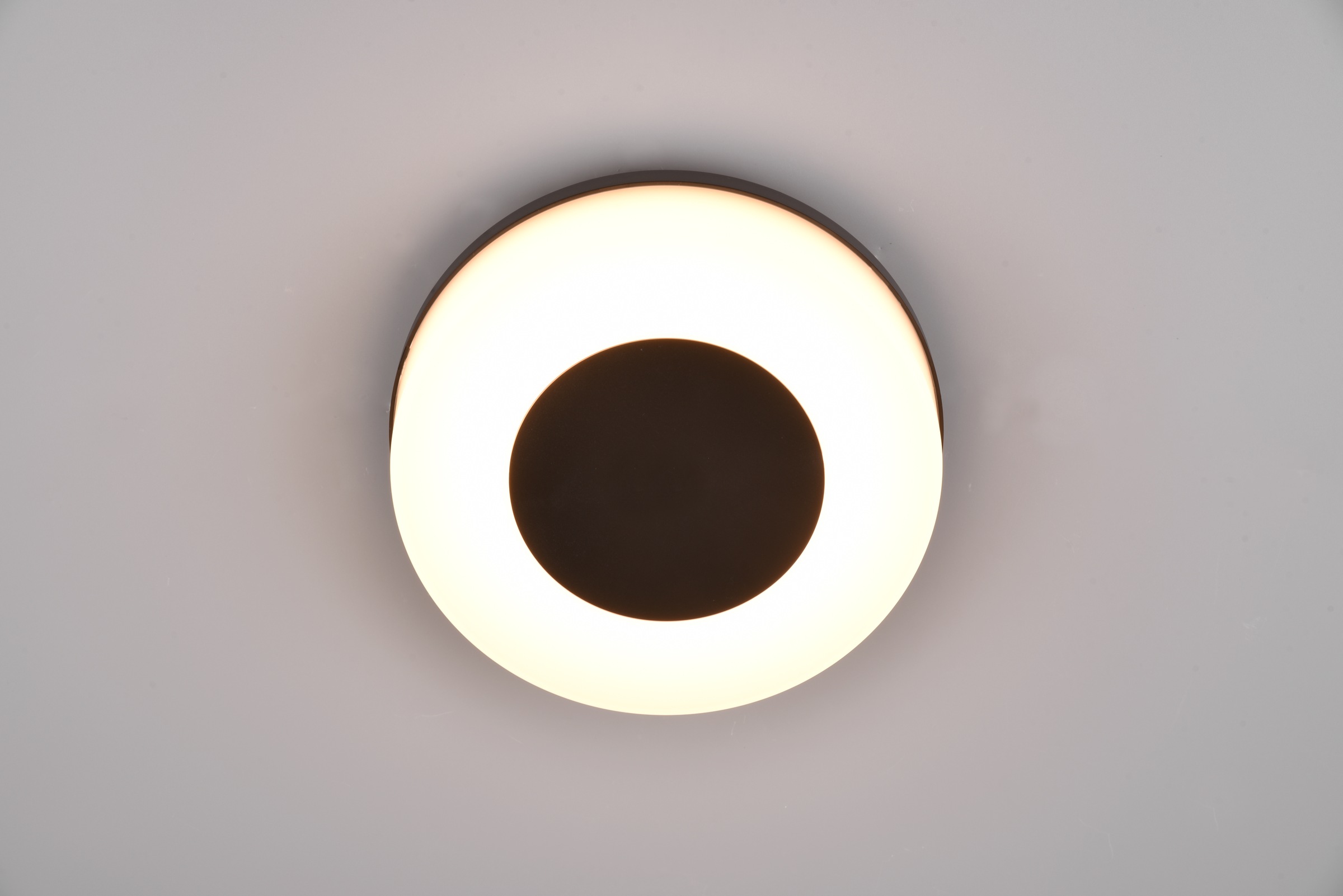 REALITY Leuchten LED Außen-Wandleuchte »MORENA, runde LED Wandlampe Deckenlampe Hauswand Fassade Garten IP54«, 1 flammig, Leuchtmittel LED-Board | LED fest integriert, Lichtfarbe einstellbar warmweiß bis kaltweiß 2300/3000/4000K 1500Lumen