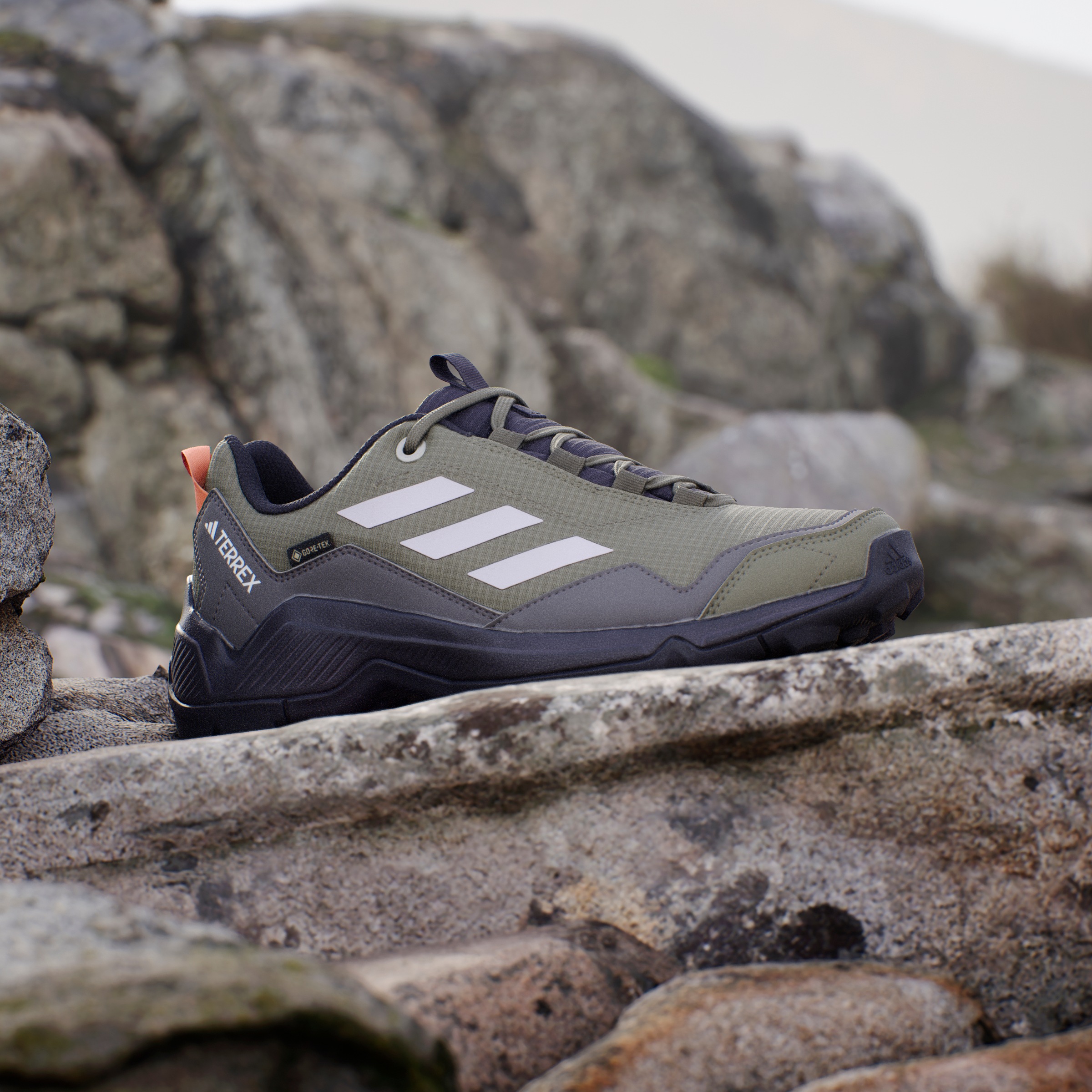 adidas TERREX Wanderschuh »TERREX EASTRAIL GORE-TEX«, wasserdicht