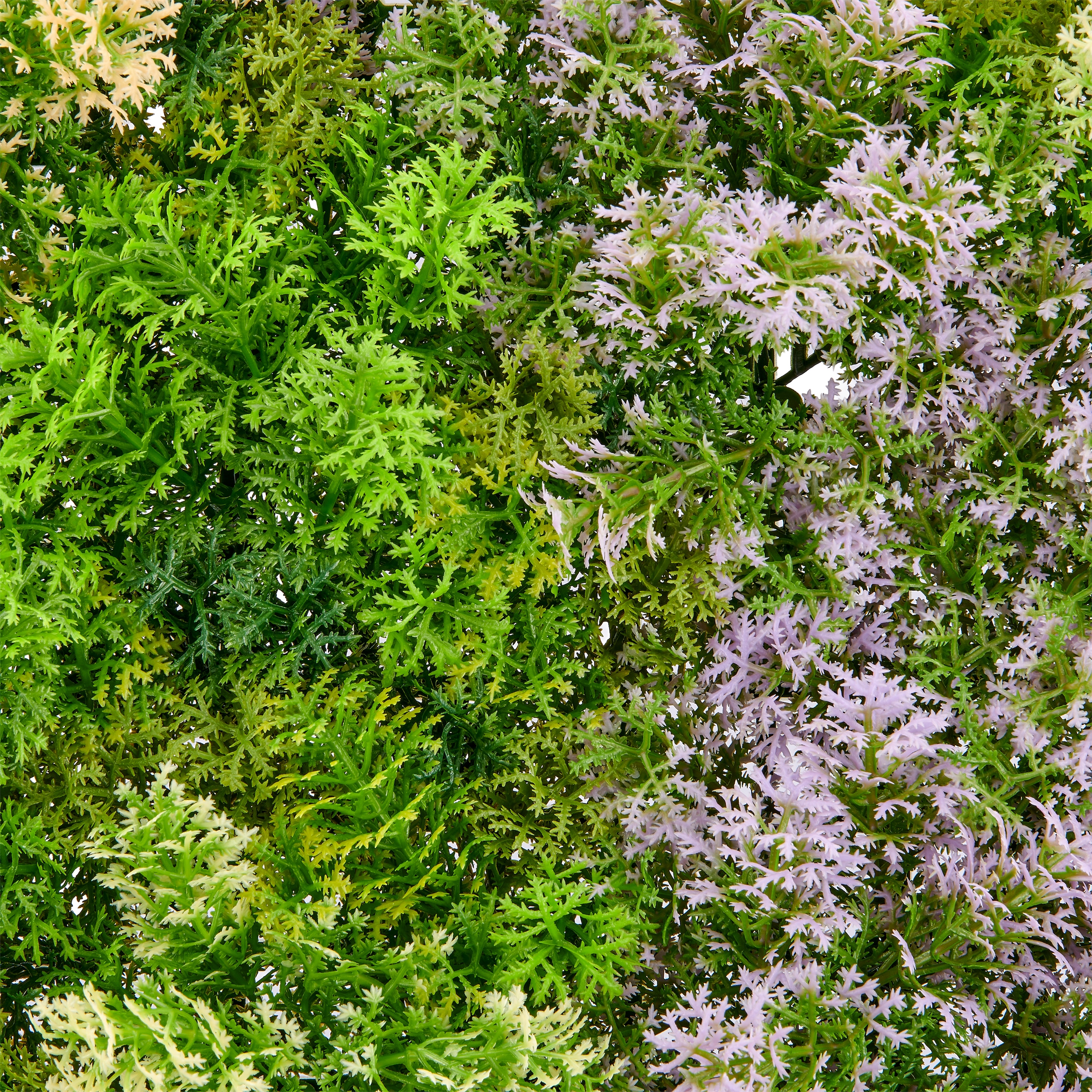 Creativ green Kunstpflanze »Wandmatte Selaginella-Mix« in UV-beständiger Ausführung
