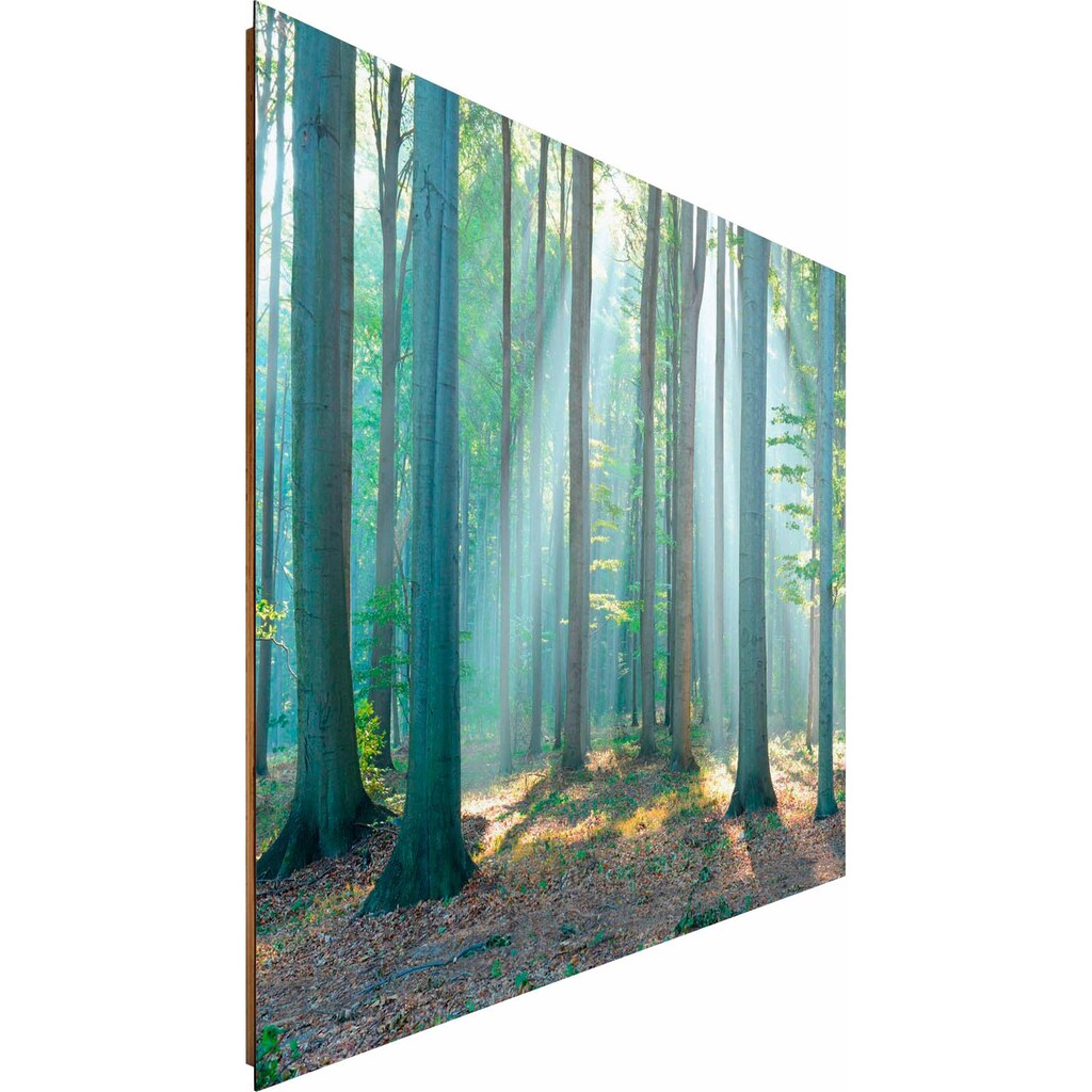 Reinders! Deco-Panel »Wald im Sonnenlicht«