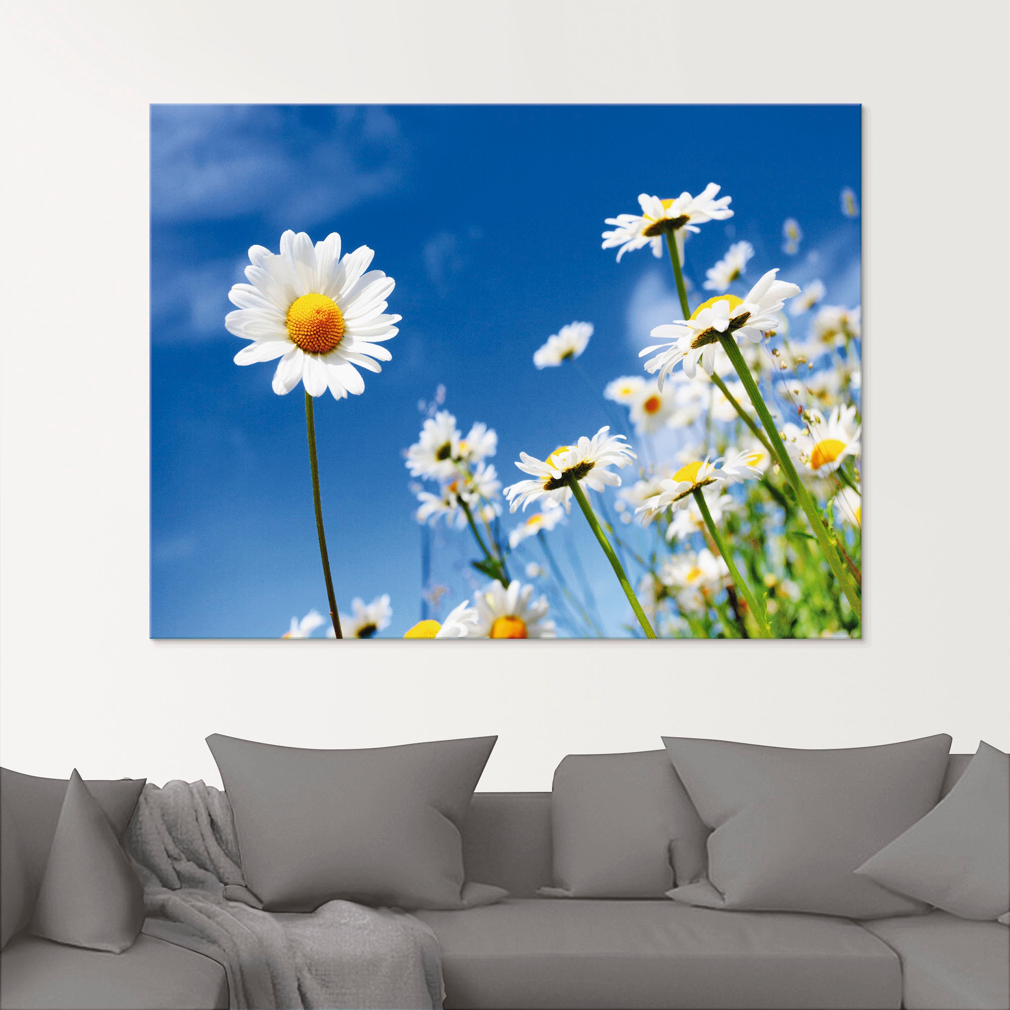 Artland Glasbild »Gänseblümchen«, Blumenwiese, (1 St.), in verschiedenen Größen