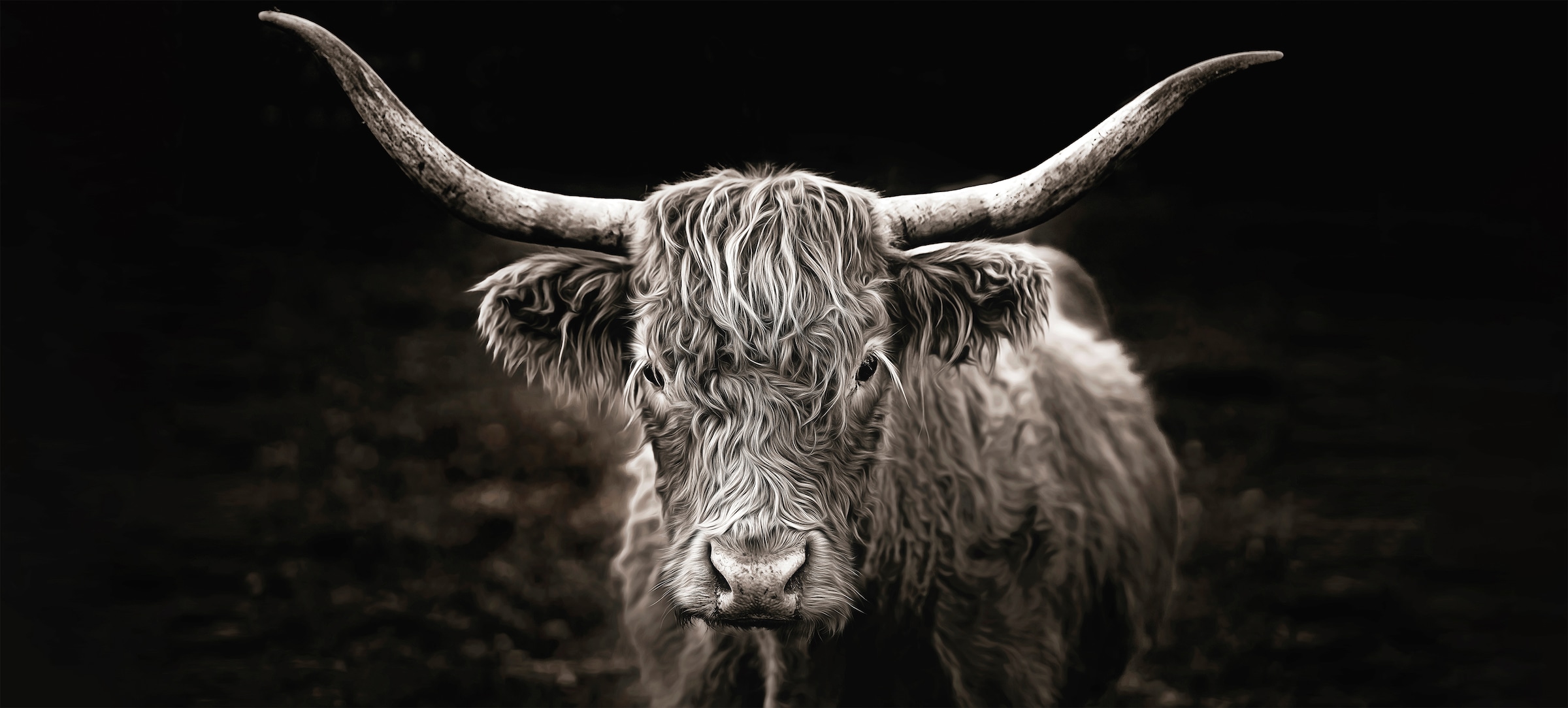 Bönninghoff Leinwandbild "Hochlandrind" Kuhbilder 1 Stk. tlg. BxH: 200x90 c günstig online kaufen