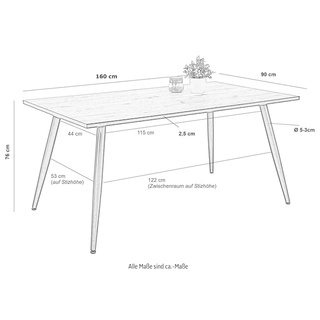 HELA Esstisch, Breite 160 cm | BAUR