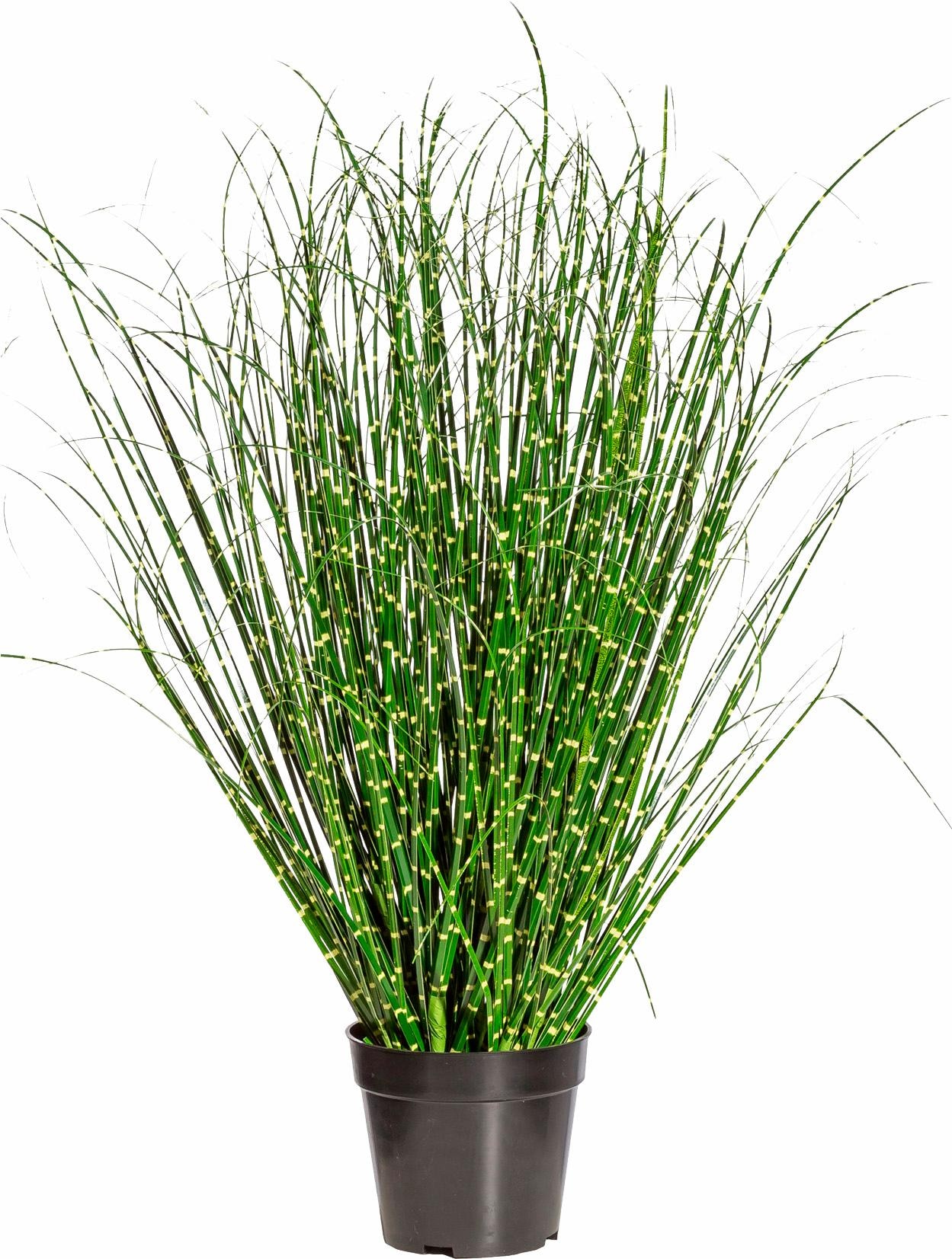 Creativ green Kunstgras "Miscanthus Zebrinus"