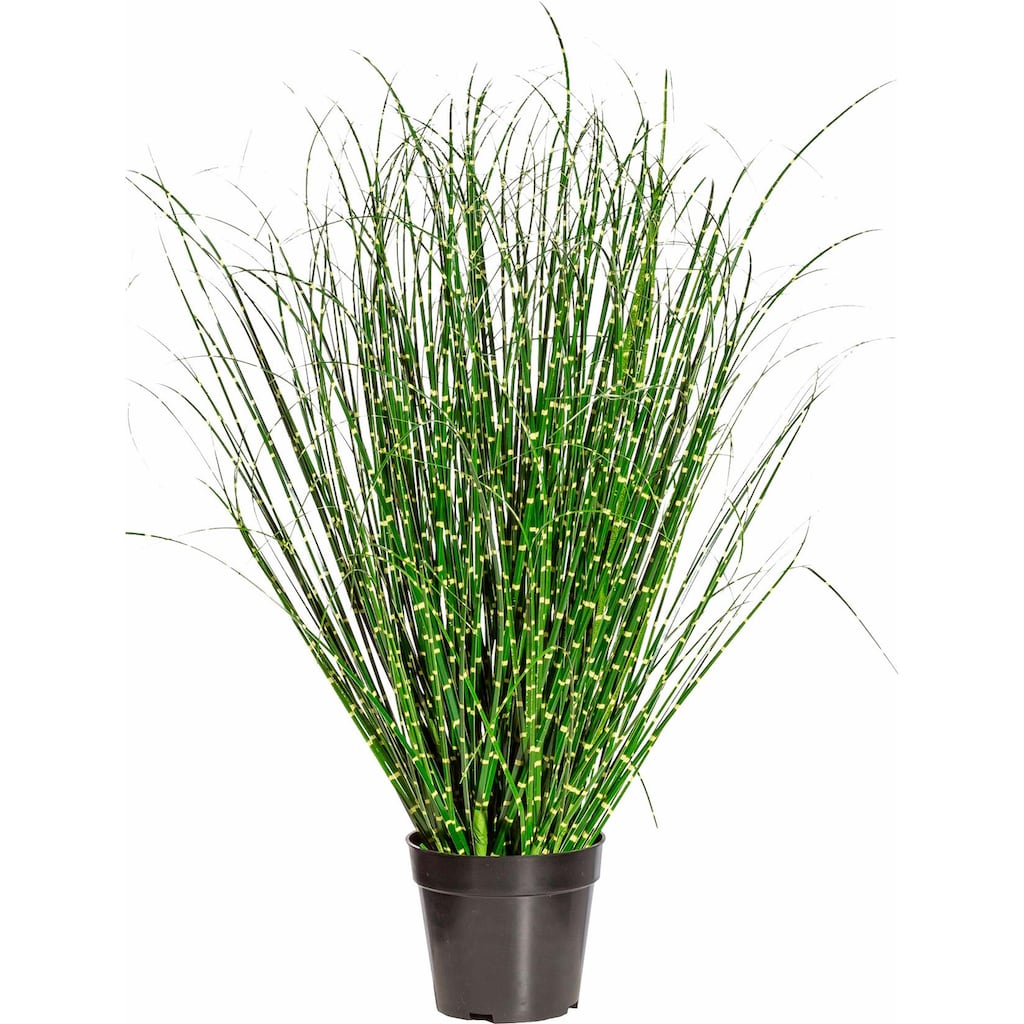 Creativ green Kunstgras »Miscanthus Zebrinus«